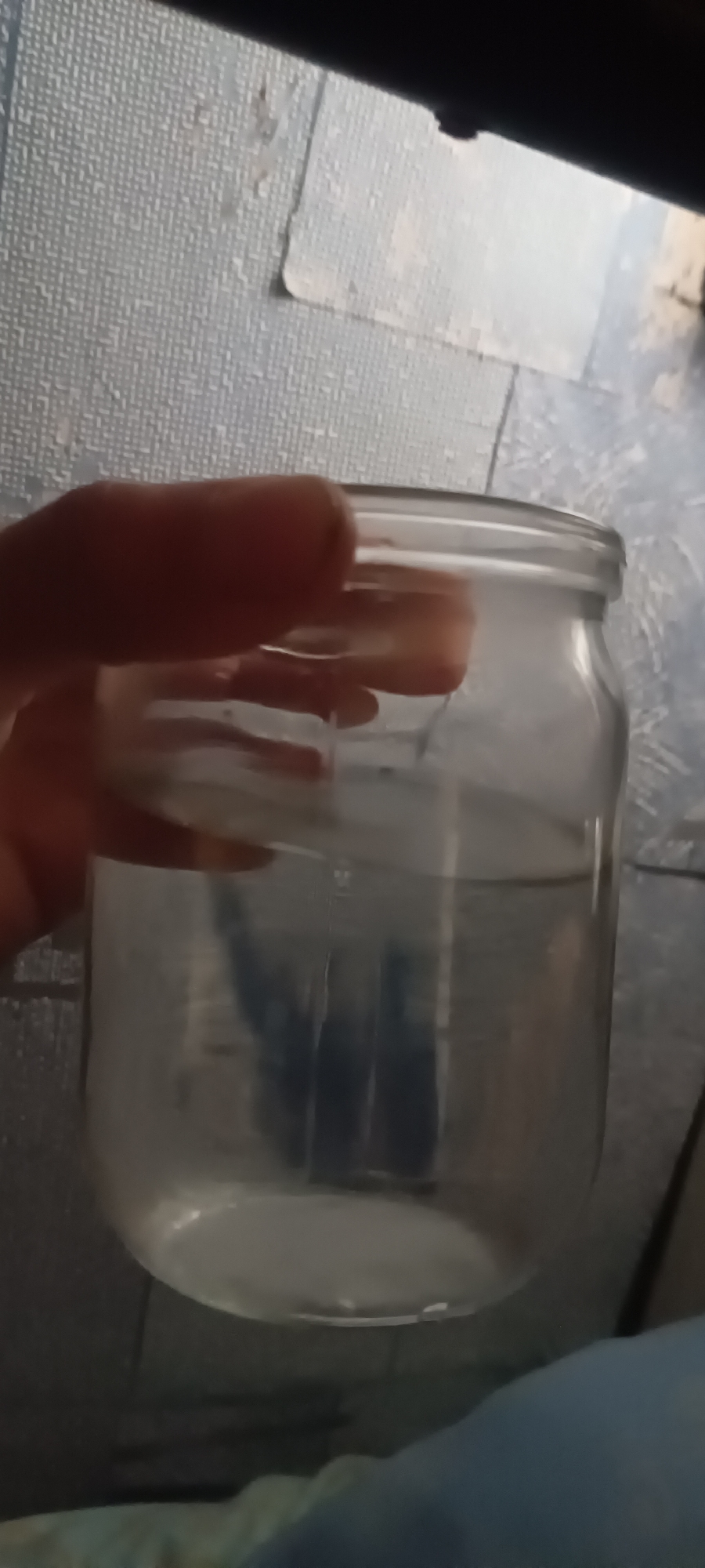 The image shows a hand holding a clear glass jar filled with a clear liquid. Inside the jar, several dark blue objects are visible, submerged in the liquid. The background appears to be a textured, light-colored surface, possibly a wall or floor covering. The lighting is dim, casting shadows and creating a slightly blurry effect. There is no discernible indication of the location in Pruzhany, Belarus.