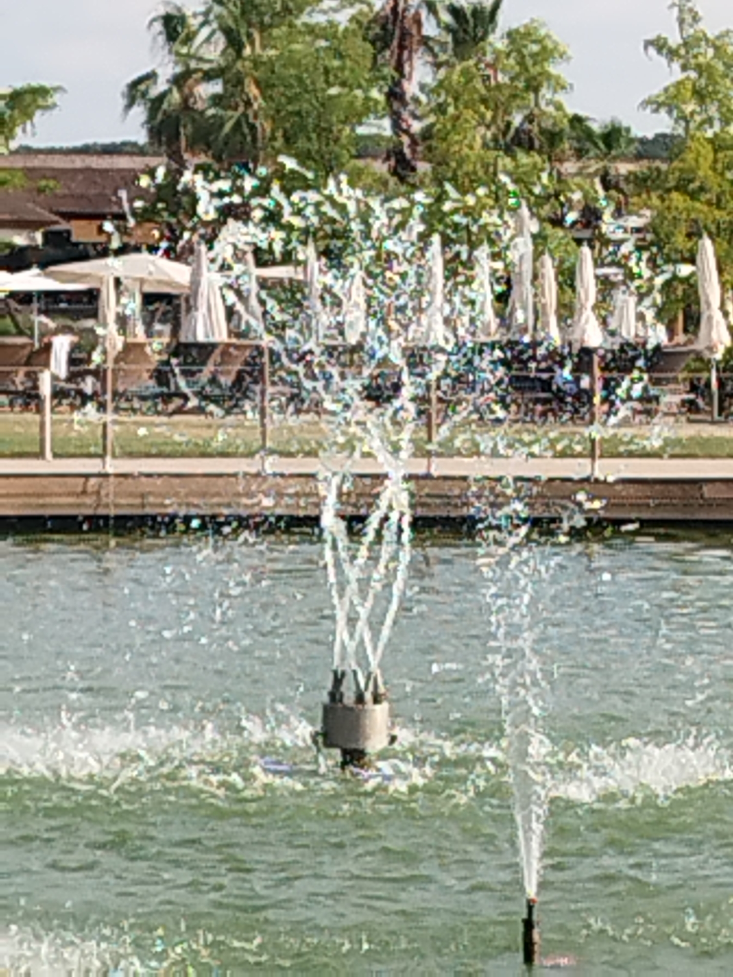 In Săftica, Romania, a fountain sprays water in a tranquil setting. In the background, white umbrellas are spread out, suggesting a resort or park area. The umbrellas are arranged in rows, creating a neat and orderly appearance. The water from the fountain is dispersed in a fine mist, catching the light and creating a shimmering effect. The surrounding environment is lush with green trees and foliage, indicating a pleasant, natural backdrop for the fountain and umbrellas. The overall scene conveys a sense of calm and relaxation.