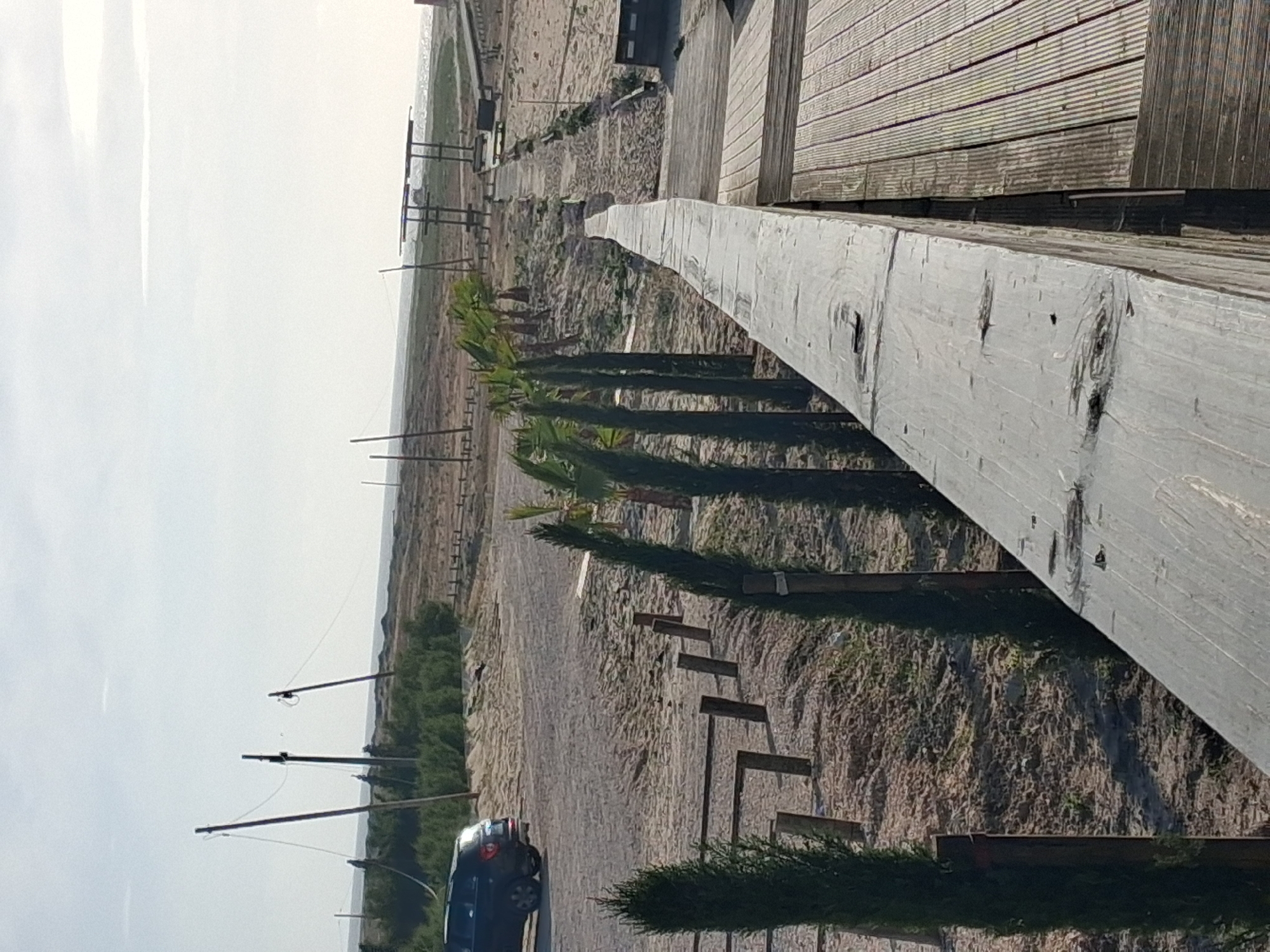 The image shows a landscape in Figueira da Foz, Portugal. A wooden boardwalk is visible on the right side. Below, a dirt road runs through the landscape, lined with small trees and utility poles. A dark-colored car is parked on the road. The background reveals a flat, open area with a horizon under a bright, overcast sky.
