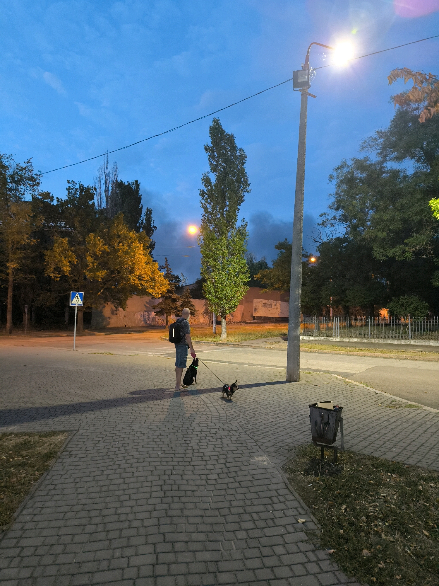 A man with a backpack walks two dogs on leashes on a paved sidewalk in Mykolaiv, Ukraine, during the twilight hours. A tall streetlight illuminates the scene. Trees with yellow and green foliage surround the area, and a pedestrian crossing sign is visible in the background. A trash can stands on the side of the sidewalk. The sky is a deep blue with scattered clouds.