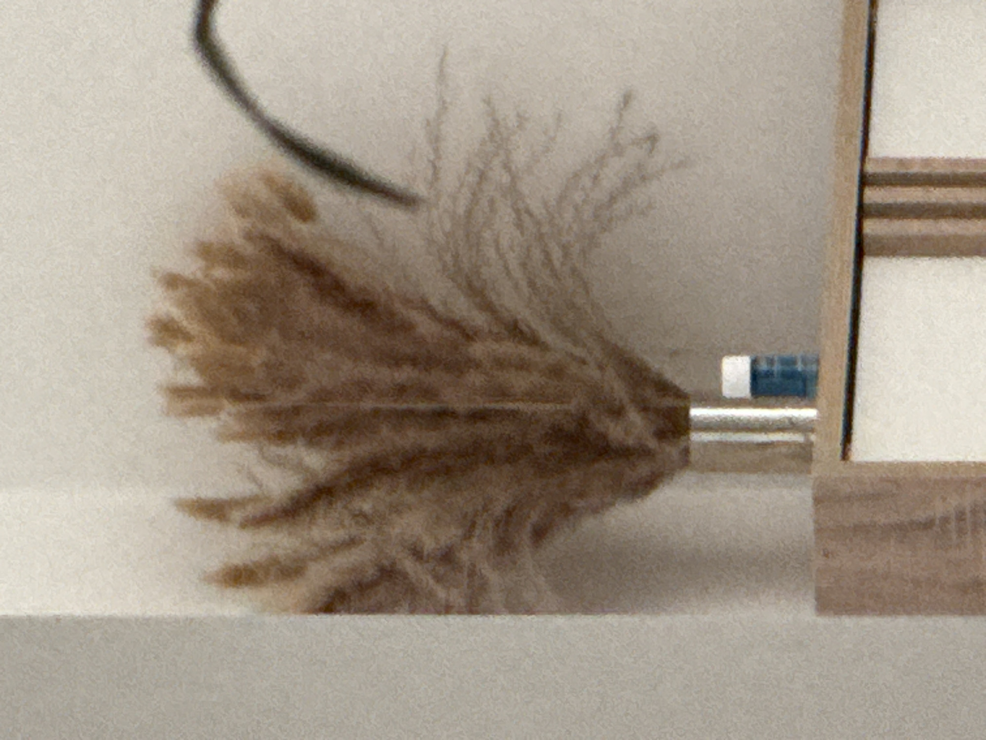 A bouquet of dried pampas grass is displayed in a silver vase on a wooden shelf. To the right of the vase is a small blue bottle. The background is a textured, light-colored wall. A dark, curved object, possibly a plant stem or part of a piece of furniture, is visible on the upper right side of the image. The scene appears to be an indoor setting, likely a home or office, and there is no indication of its location within Dubai, United Arab Emirates.