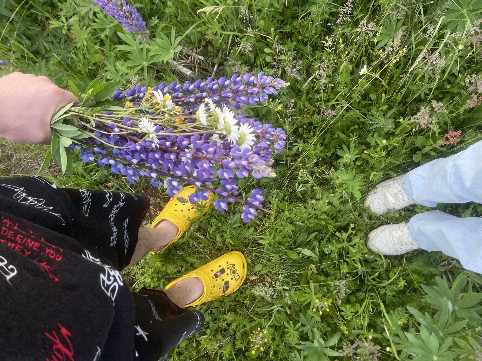 In the city of Kuyeda, Russia, a close-up, overhead shot captures a person's legs and feet standing amidst a field of lush green grass. The individual on the left wears black shorts with a white and red graphic print and bright yellow Crocs. The person on the right is clad in light blue jeans and white sneakers. A hand holds a bouquet of vibrant purple lupine flowers, interspersed with white daisies and yellow wildflowers. The overall scene suggests a serene outdoor activity, likely a walk or gathering of flowers in a natural setting.