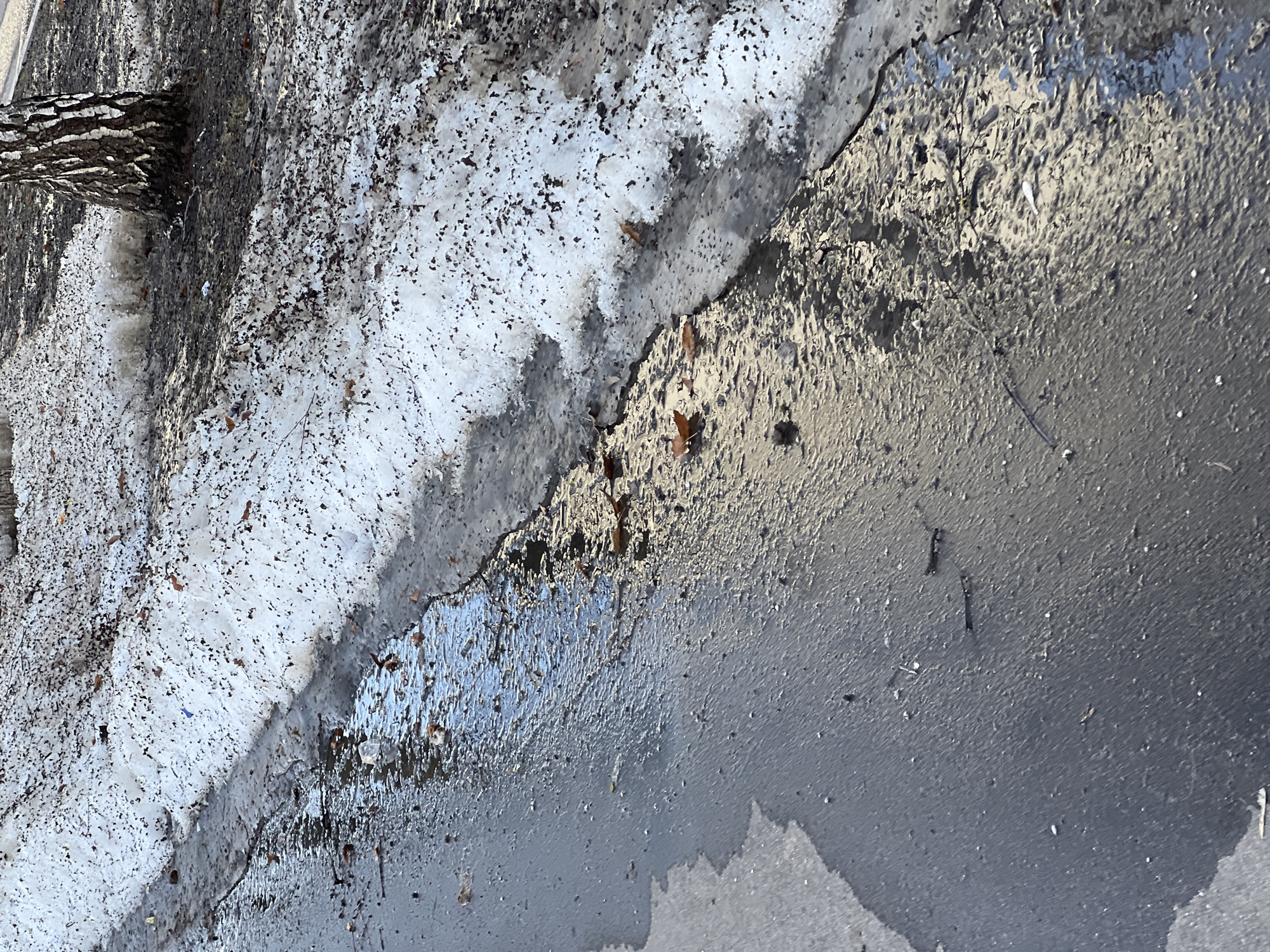The image shows a partially melted snowbank meeting a wet, reflective surface, likely asphalt. There's a tree trunk visible along the edge of the snowbank. The ground is mostly covered in a mixture of snow and water. The scene doesn't show clear signs that it's in Moscow, Russia, but could plausibly be a street edge in any location with similar winter weather.