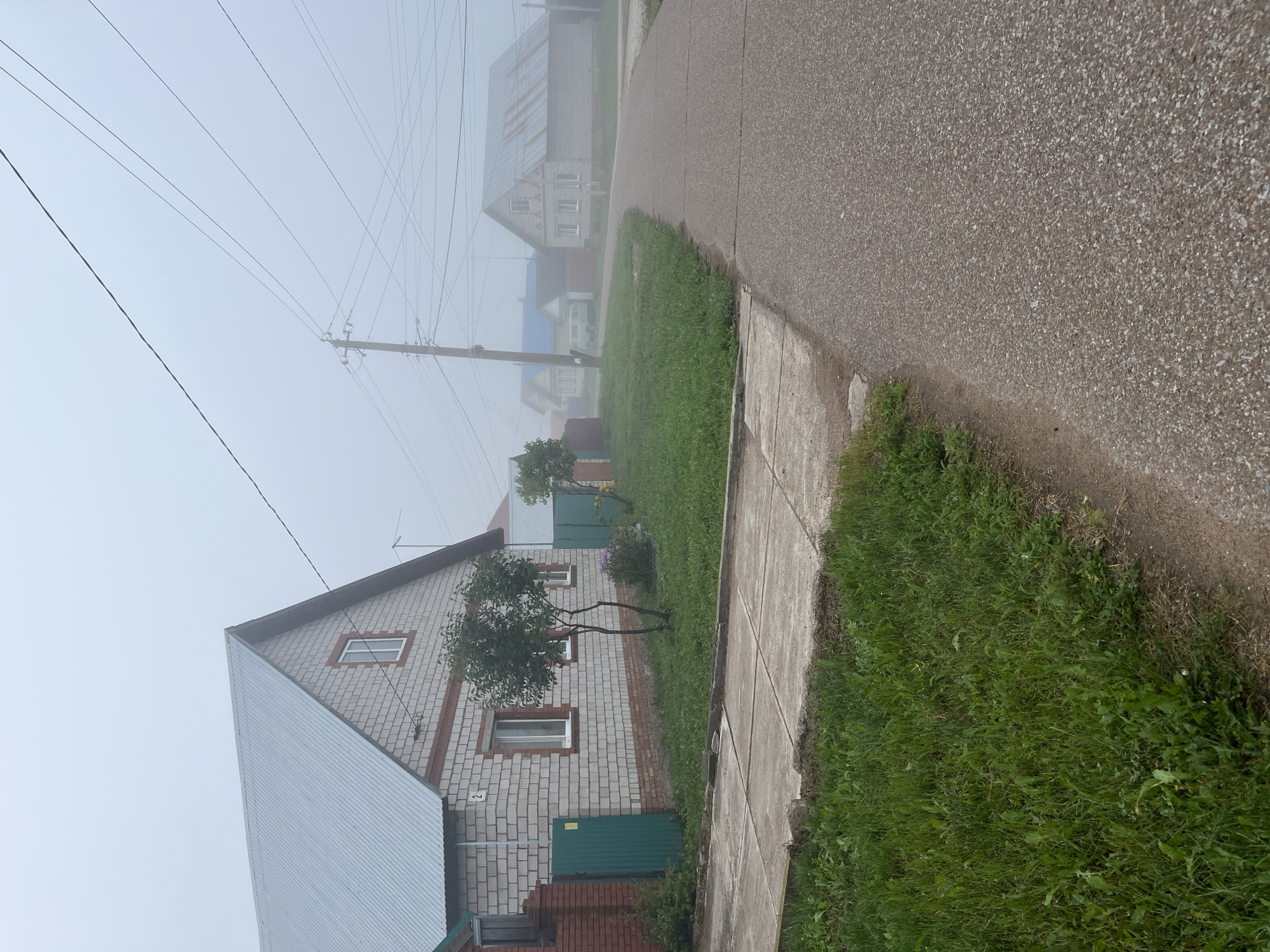The image depicts a foggy street scene in the city of Blagoveshchensk, Russia. The foreground shows a gray asphalt road with a concrete sidewalk to the left, bordered by green grass. Further down the road, several houses are visible, characterized by their brick construction and metal roofs. Power lines crisscross the sky, and a utility pole stands near the side of the road. The overall atmosphere is overcast and muted due to the dense fog.