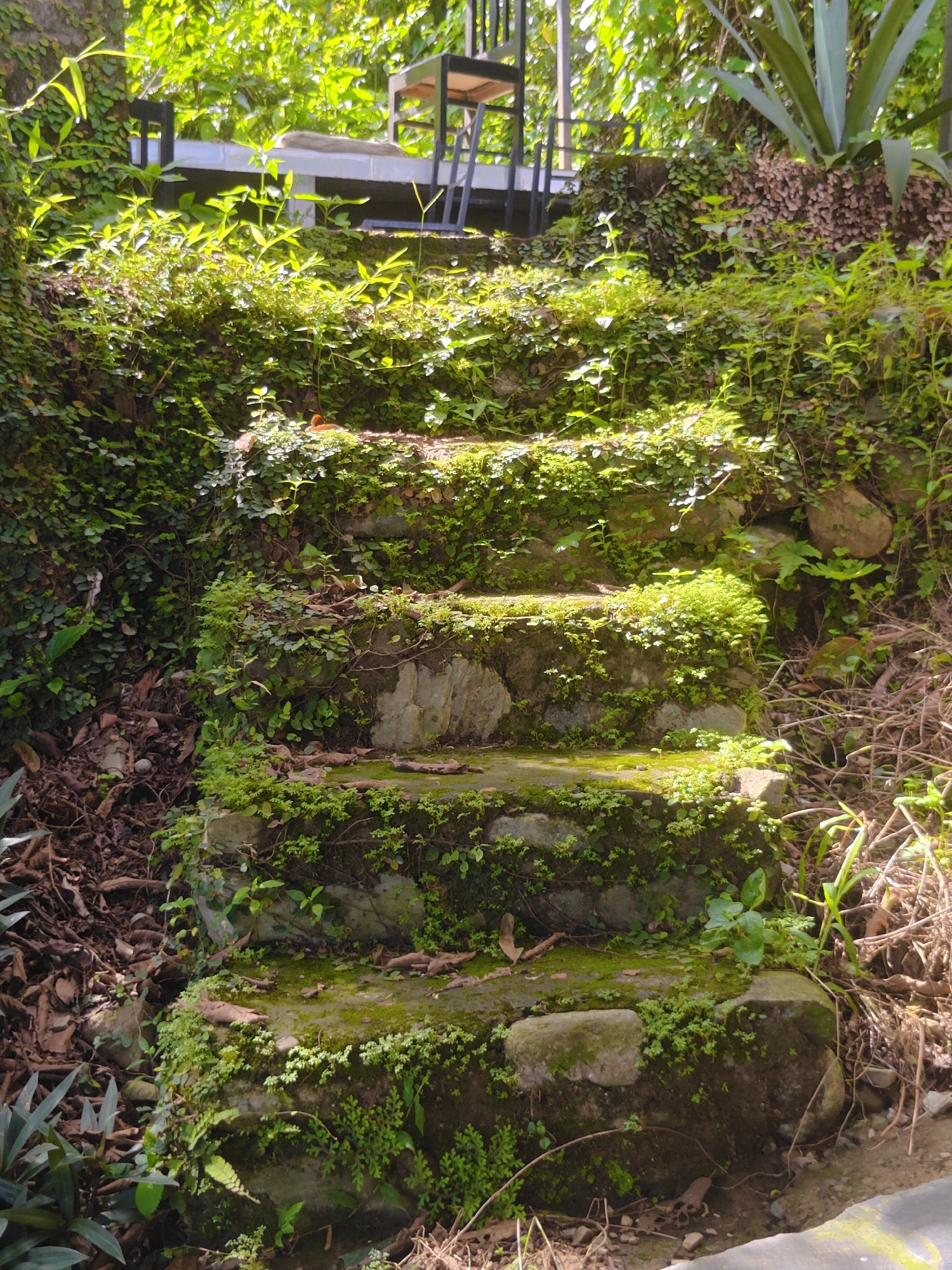 An outdoor scene in Pokhara, Nepal, features a set of moss-covered stone steps leading upwards. Lush green vegetation, including small plants and vines, blankets the steps and surrounding embankment. Sunlight filters through the trees, casting dappled light on the scene. In the background, a portion of a deck or patio is visible with outdoor seating, including a table and chairs. The overall impression is one of natural integration into a garden or outdoor living space.
