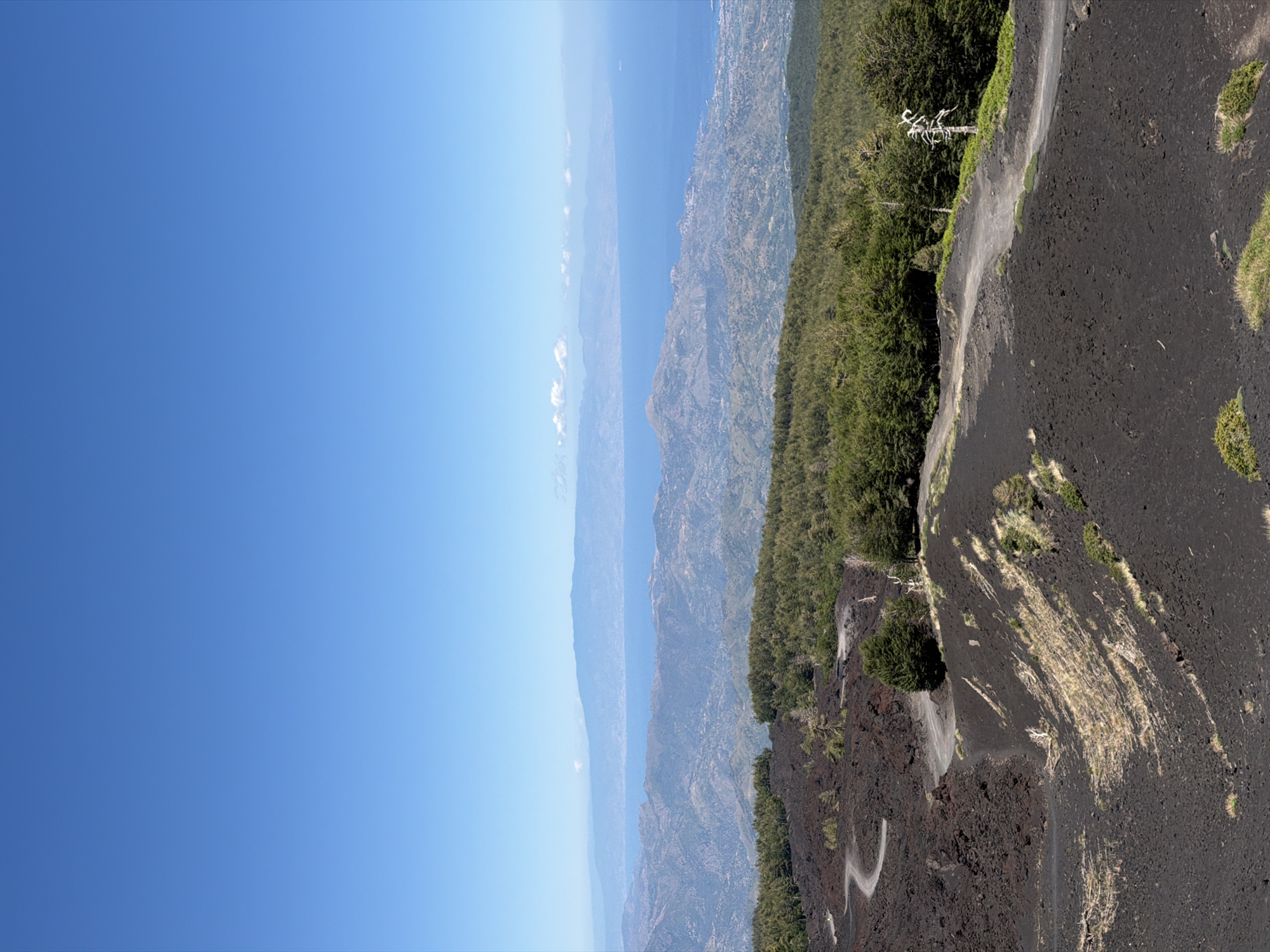This is a vertical, eye-level, full shot of Mount Etna in Linguaglossa, Italy, on a clear, sunny day. The foreground is dominated by the black, rocky terrain characteristic of volcanic areas, with a dirt road winding its way through the landscape. Sparse, dry vegetation and a few scattered trees dot the slopes.
The middle ground features a dense forest of green trees, with a distinct difference in texture between the dark volcanic rock and the lush foliage. The forest stretches across the frame, creating a natural boundary between the rugged foreground and the distant panorama.
In the background, a hazy blue sea stretches to the horizon, meeting a pale blue sky with a few wispy clouds. Mountainous terrain, appearing muted and distant, frames the sea. The overall impression is one of a natural, undeveloped landscape, showcasing the unique topography of Mount Etna and its surrounding environment. There are no people or animals visible in the image.