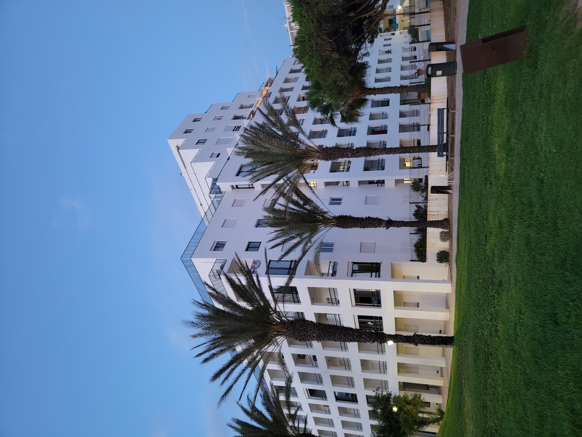 In Quarteira, Portugal, a modern, white, multi-story building with a stepped facade dominates the scene. The building features numerous balconies with black railings and dark-paned windows. Several tall palm trees are positioned in front of the building, with their fronds reaching towards the sky. To the right of the building, there are evergreen trees. In the foreground, a neatly mown green lawn stretches across the image. Behind the lawn, a pathway is visible, with a park bench, two trash receptacles, and a white chair. The sky above is a clear, pale blue, indicating it is either early morning or late evening.
