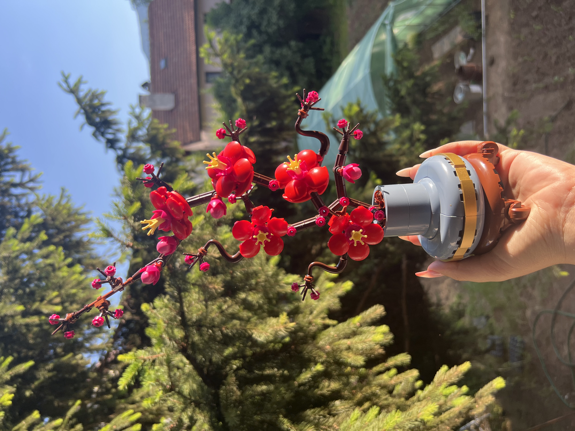 A person's hand with long, manicured nails is holding a small, artificial cherry blossom branch in a gray and gold vase. The branch has red flowers with yellow centers and small pink buds. The background shows a blurred green pine tree, a house with a tiled roof, and a greenhouse. The image appears to be taken outdoors on a sunny day. The location is identified as Sofia, Bulgaria.