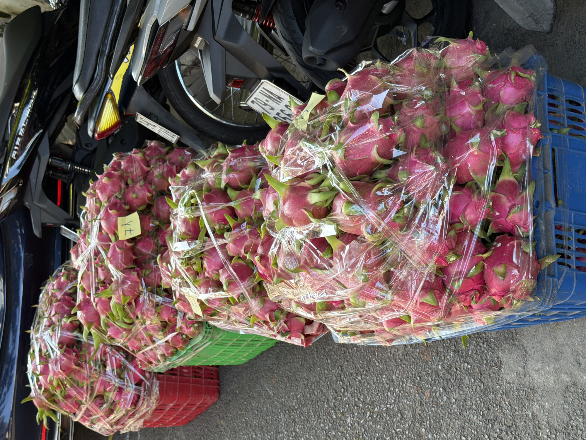 The image depicts an outdoor market scene, likely in Nha Trang, Vietnam, with a focus on a large quantity of dragon fruit. Several blue plastic crates are filled with the fruit, which is predominantly pink with green accents. The dragon fruit is neatly arranged and wrapped in clear plastic. In the background, motorcycles are parked, indicating a common mode of transportation and potential use for transporting goods in this urban environment. The ground is asphalt, typical of a street or market area. A yellow tag with some writing is visible on one of the crates of dragon fruit. The overall impression is a vibrant display of fresh produce.