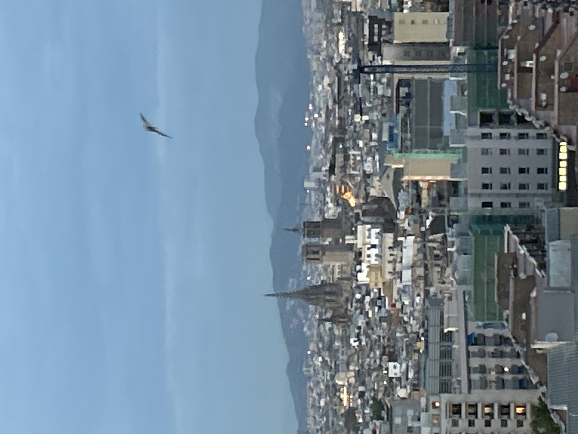 The image, originally rotated 90 degrees clockwise, captures a broad daylight view of a sprawling city against a mountainous backdrop under a clear sky.
In the upper left portion of the light blue sky, a bird with outstretched wings is seen in mid-flight. The sky is bright and cloudless, indicating fair weather.
The expansive cityscape, identified as Barcelona, Spain, dominates the lower and right-hand side of the frame. It features a high density of buildings of various heights and architectural styles, including residential and commercial structures. Many buildings have visible windows, some appearing illuminated. Towards the center of the city, a prominent, dark, spire-like structure, possibly a church or cathedral, rises distinctively above the surrounding urban fabric. Signs of ongoing construction, such as cranes and scaffolding, are visible on some buildings.
In the background, a range of hazy, blue-grey mountains forms a natural boundary behind the city, receding into the distance. The overall scene depicts a vibrant urban environment extending towards natural topography. No people or discernible text are visible in the image.