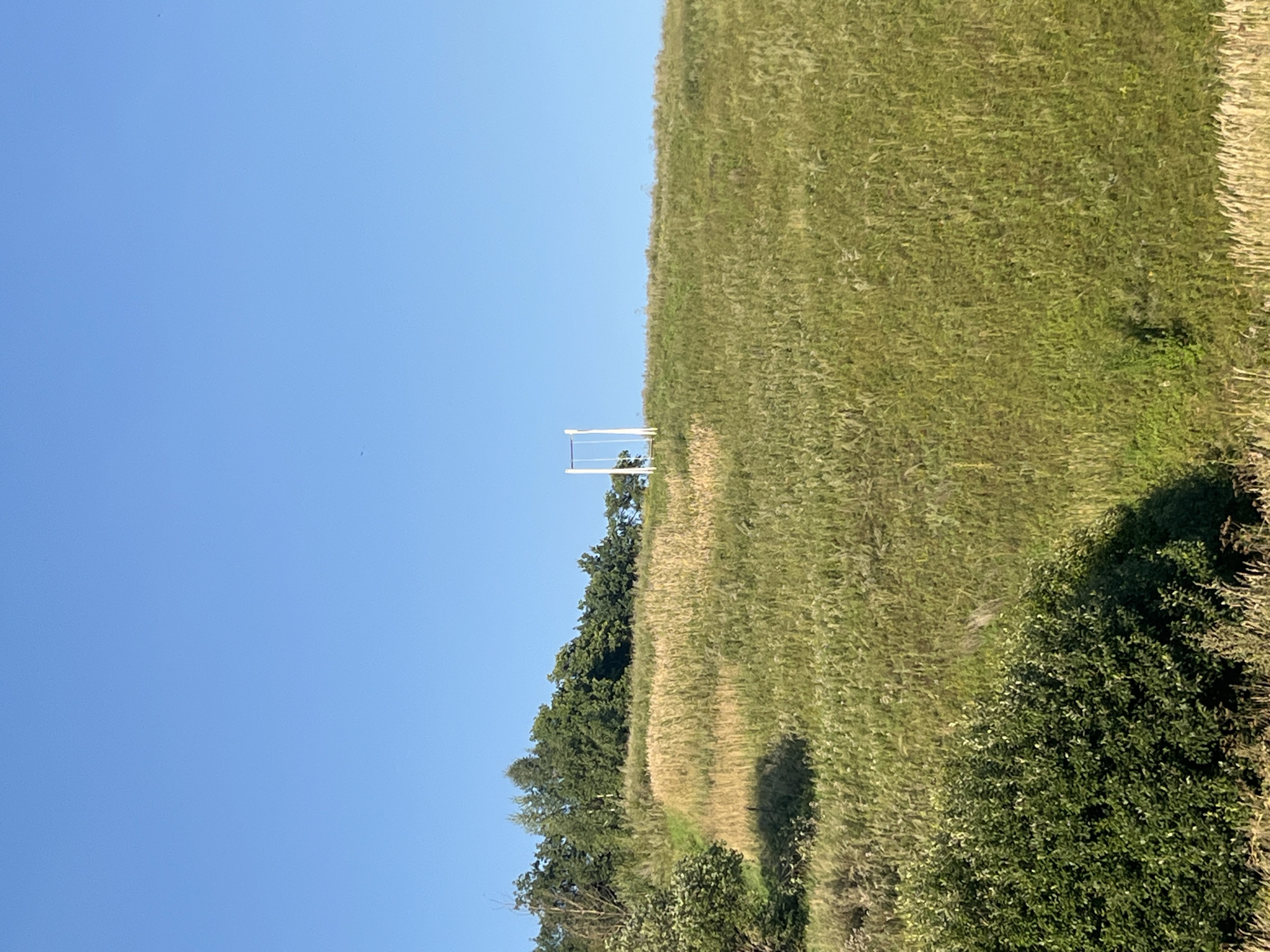An outdoor, eye-level shot depicts a gently sloping, grassy hill under a clear blue sky. A white swing set stands on the crest of the hill. The hill is covered in a mix of green and dried grasses, with a darker green patch of trees on the left side. The foreground is also covered in grasses. The scene appears to be located in Srednie Pinyachi, Russia.