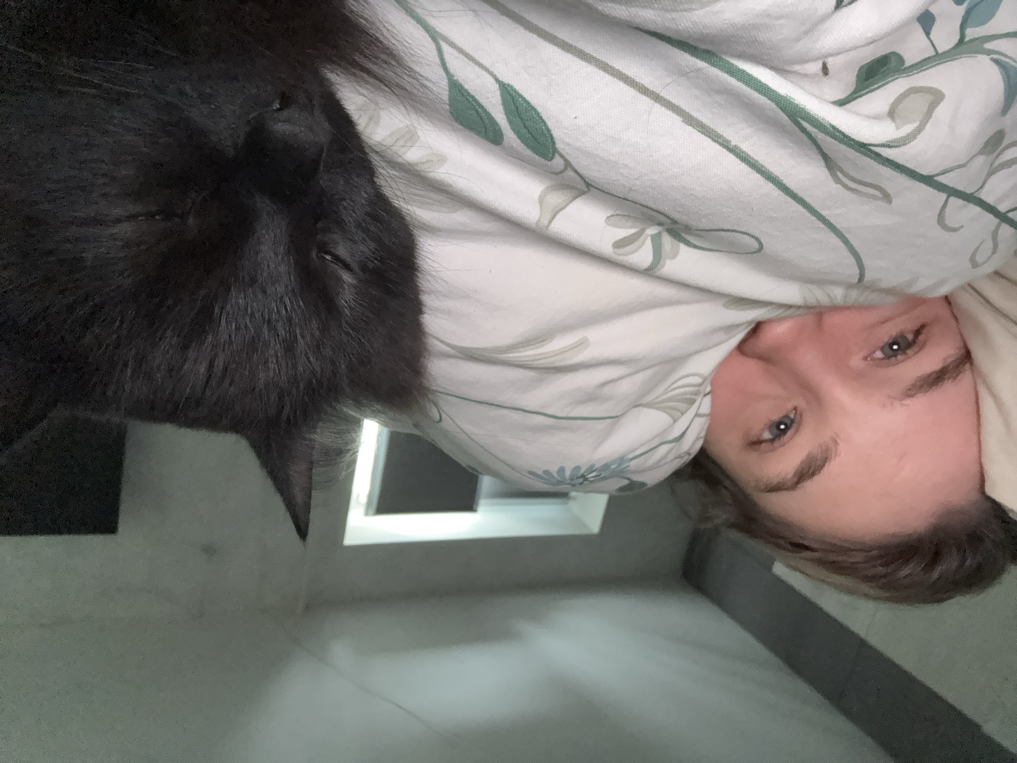 The image depicts a person lying in bed, partially covered by a patterned duvet. The duvet is white with a floral print featuring green and light blue leaves and flowers. A dark gray cat is resting near the person's head, its fur appearing soft. The person's face is visible, revealing blue eyes.
In the background, a small window is visible, suggesting the scene is indoors, inside a room. The wall color is light gray. There is no specific evidence to confirm the location is Chaikovsky, Russia.