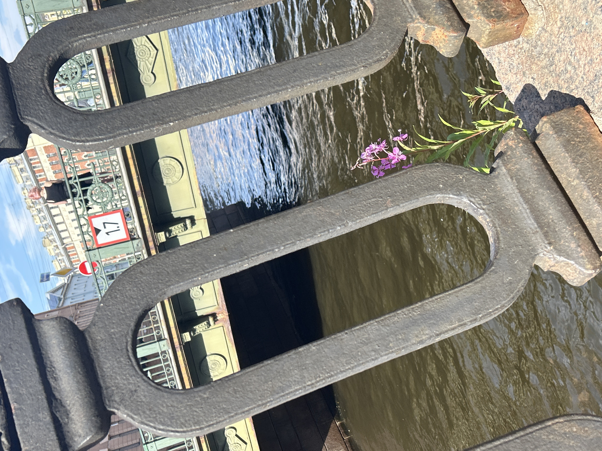 This is a close-up, rotated photograph of a dark metal railing on a bridge, looking down at a body of water and the side of the bridge. The water is choppy and appears to be a murky brown color, reflecting the sunlight in streaks. To the right of the image, a small plant with green leaves and delicate purple flowers is growing out of a crack in the stone support of the bridge.
Through the gaps in the railing and the railings of the bridge's structure below, glimpses of buildings and a street scene can be seen. In the background, there are structures with ornate architectural details, painted a pale green. Sunlight indicates it is daytime. One building has a sign with red and white markings. There is a person visible on the bridge structure below, wearing a black top. A red and white sign with the number "1.7" is also visible on the bridge structure. The scene appears to be urban, possibly a canal or river in a city. The overall mood is somewhat serene, with the contrast of the industrial bridge railing and the delicate wildflower.