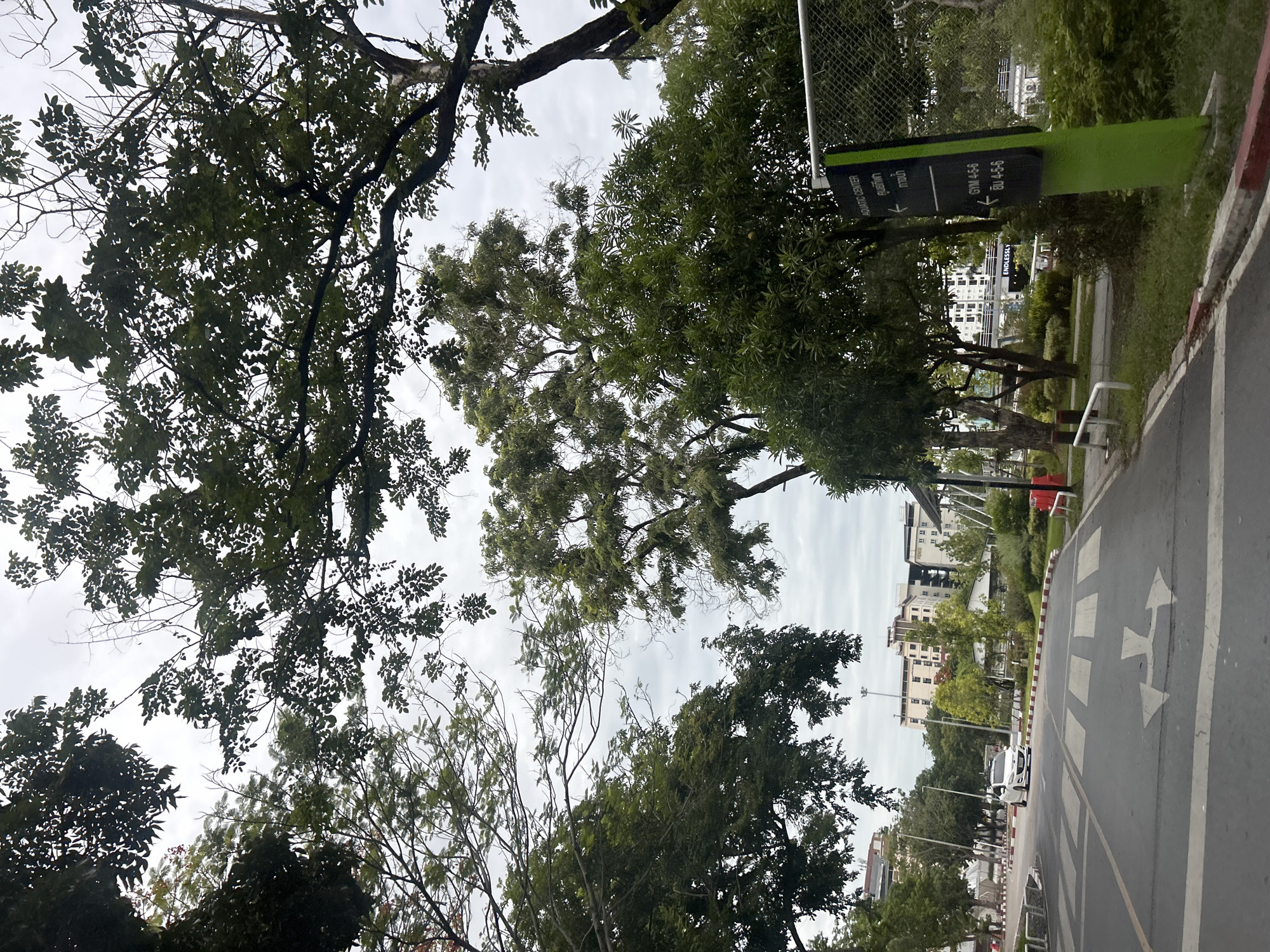 The image shows a street view in Tha Khlong Town Municipality, Thailand. In the foreground, there is an asphalt road with white pedestrian crossing lines and directional arrows painted on it. A white car is visible driving on the road in the middle distance. Lush green trees with dense foliage dominate the upper and middle portions of the image, partially obscuring the sky, which is overcast and grey. In the background, several multi-story buildings are visible, some with balconies and windows. A green directional sign with white text and arrows is positioned on the right side of the road, indicating "AQUATIC CENTER" and "GYM 4-5-6". The environment appears to be a well-maintained area with both natural elements like trees and urban infrastructure.
