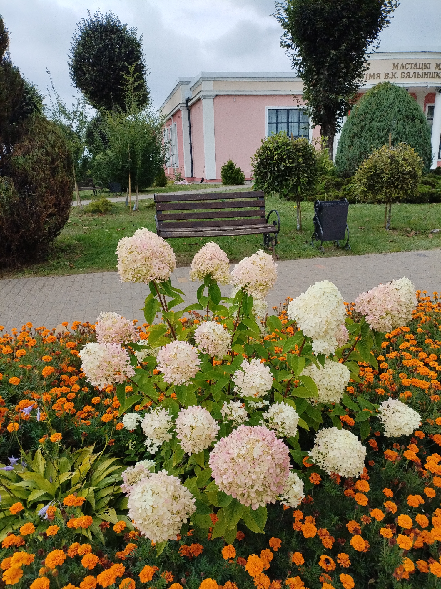 This image depicts a scenic view in the city of Bialynichy, Belarus, featuring a flower bed in the foreground and a building in the background. The flower bed is a vibrant display of large, cone-shaped clusters of white and light pink hydrangeas, interspersed with a multitude of smaller, bright orange marigolds. Lush green foliage provides a backdrop for the flowers. To the left of the flower bed, a paved walkway with a light gray brick pattern runs horizontally. Beyond the walkway, a dark wooden park bench sits on a grassy area. Further back, a dark gray trash receptacle is visible. In the background, a light pink building with white trim stands prominently. The building has multiple windows and text above its entrance, identifying it as the V. K. Bialynitsky-Birulya Museum of Art. The sky above is overcast with a gray, cloudy appearance. The overall scene is one of a well-maintained public space, likely a park or museum grounds, designed for visitors to enjoy the natural beauty and cultural offerings of Bialynichy.