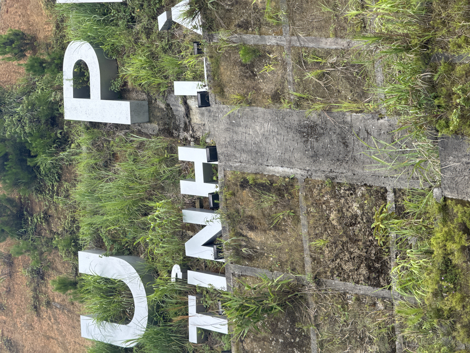 The image displays a portion of a hillside in Tu Le, Vietnam, featuring large, three-dimensional block letters embedded into the terrain. The upper visible line of text clearly shows the letters "U" and "P" in a light silver or grey finish. The lower visible line of text reads "TINH LA", rendered in the same style of letters, with two black, rectangular spotlights positioned in front of the letters "H" and "A".
The hillside itself is characterized by significant natural overgrowth. Lush green grass and various small plants densely surround the letters, with some vegetation growing within the hollows of letters like the "U" and "P". Patches of reddish-brown earth are visible between the vegetation, particularly higher on the slope. Below the letters, the terrain is structured with grey concrete retaining walls or steps, which form a grid-like pattern in the lower sections of the image. These concrete structures are also partially covered with moss, dirt, and green foliage, indicating exposure to the elements and natural integration into the environment. No people or animals are visible in the scene.