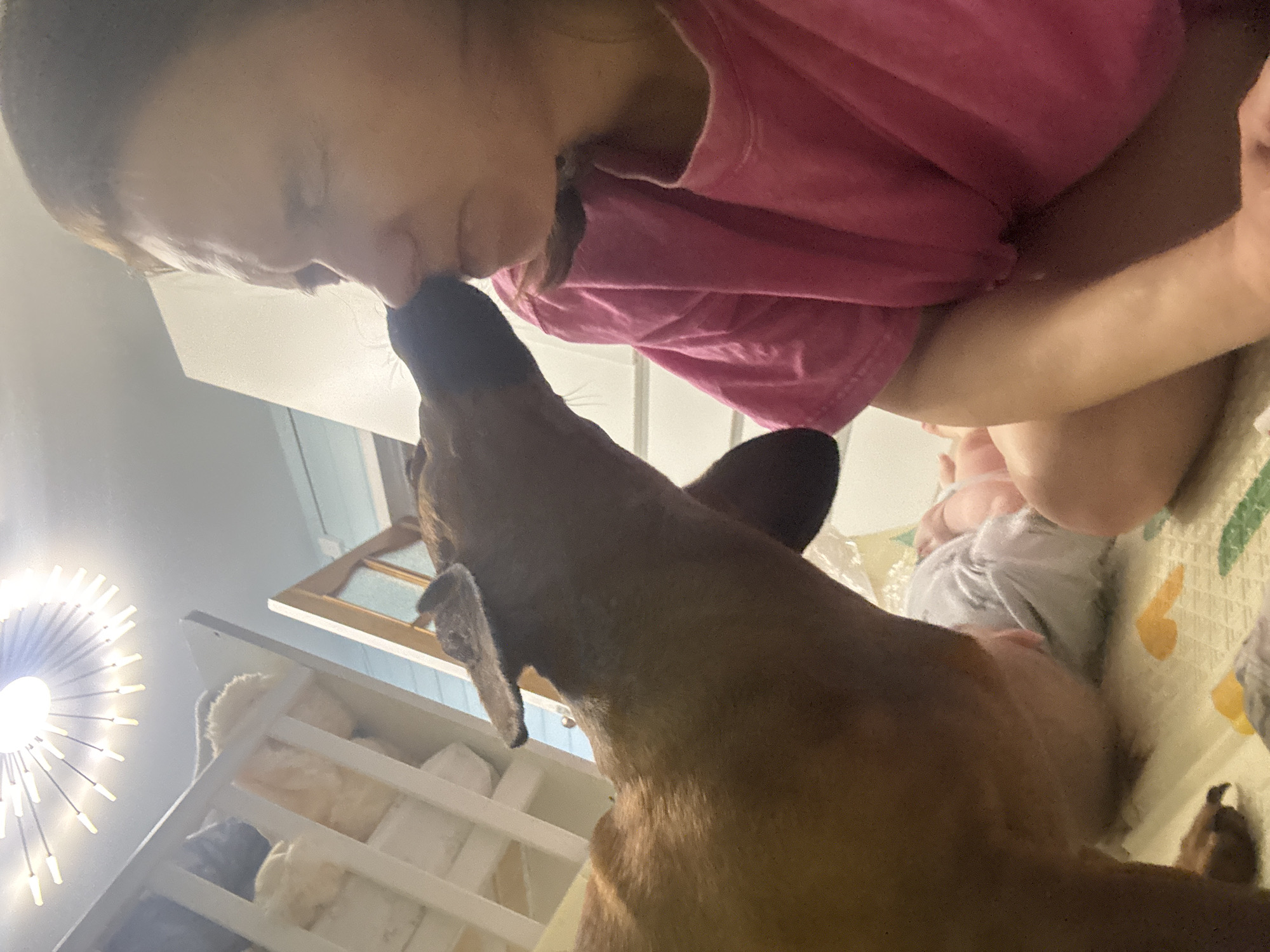 This image, taken in Раздолье, Russia, depicts a tender, intimate moment between a person and a dog in an indoor setting. The photograph is oriented vertically, appearing as if shot from a low angle looking upwards, and is presented on its side.
In the foreground, a brown dog reaches up towards a person, whose face, largely in profile, is seen leaning down. The person, wearing a pink top, has their nose gently touching or very close to the dog's snout, suggesting an affectionate nuzzle or kiss. The dog has floppy ears and a dark muzzle.
The background reveals various elements of a domestic space. To the left, a bright, modern ceiling light fixture with numerous illuminated bulbs is prominent. Below it, a white slatted piece of furniture, possibly a crib or shelving unit, holds soft, light-colored textiles or stuffed items. Further into the background, a wooden window or door frame is partially visible.
On the right side of the image, the person is seated or kneeling on a patterned mat or blanket, which features a design of green leaves and yellow shapes. Partially visible next to the person, a baby or small child lies on the same mat, dressed in light-colored clothing. The scene conveys a warm and loving atmosphere. No text is visible in the image.