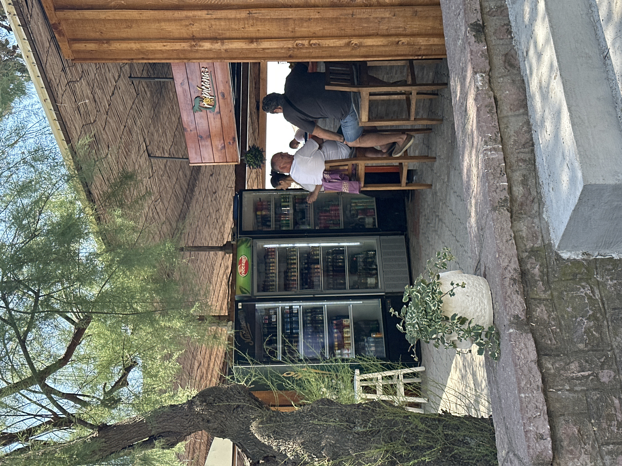This image depicts an outdoor bar or kiosk in Budva, Montenegro, under bright, sunny conditions. The establishment features a rustic aesthetic with a thatched roof and a wooden bar counter. Two men are seated at wooden stools at the bar; one, wearing a white shirt, is seen from behind, while the other, in a dark shirt, leans over the counter, engaged in an interaction. A third person is partially visible behind the man in white.
Behind the counter, two large commercial refrigerators are stocked with an assortment of beverages. The upper refrigerator displays a "nectar" logo, and the lower one shows a partial "Jelen" logo. A wooden sign, hanging from the roof, reads "Tropicana" in a stylized font, accompanied by a sun or fruit-like icon.
In the foreground, a large, mature tree with thin, light green leaves extends across the left side of the frame. To the right, a textured stone or concrete wall forms a boundary, and a white planter containing a variegated plant is visible. The bright sunlight creates distinct shadows, indicating a clear daytime setting. A purple towel or fabric is draped over one of the bar stools.