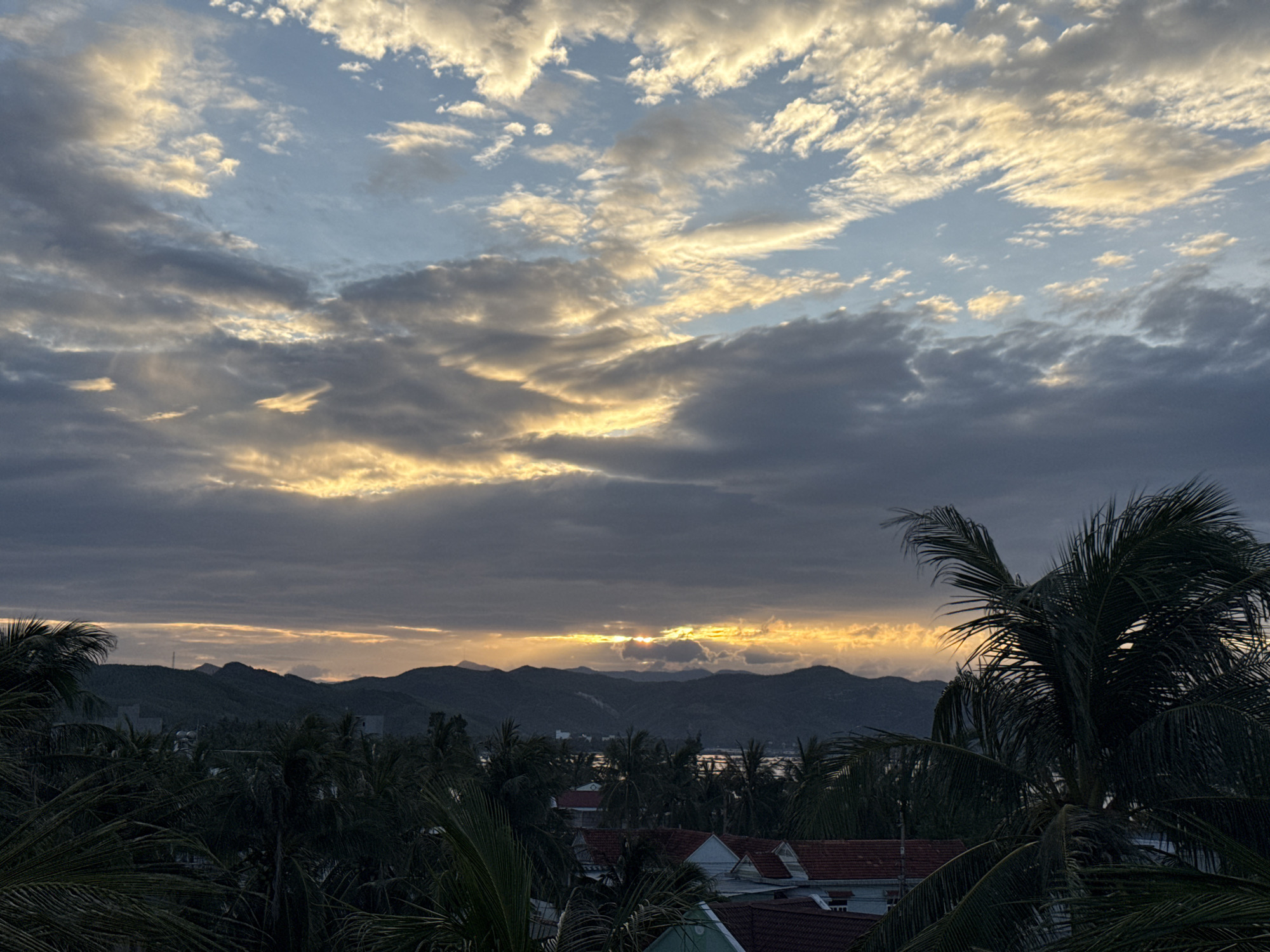 A high-angle, full shot captures a dramatic sunset over the coastal city of Song Cau, Vietnam. The sky is a tapestry of colors, with bright yellow and orange hues breaking through dark, brooding clouds in the distance. Wispy clouds, tinged with gold, stretch across the upper portion of the frame, contrasting with the heavier, greyer cloud cover below.
A range of dark, silhouetted mountains forms the backdrop, with a hint of a town or buildings visible in the valley between them and the foreground. In the foreground, lush, dark green palm trees dominate, their fronds reaching into the frame and partially obscuring the view of the landscape and the sky. The palm trees create a sense of depth and frame the scene, suggesting a tropical or subtropical environment. The overall impression is one of natural beauty and the powerful spectacle of a sunset.