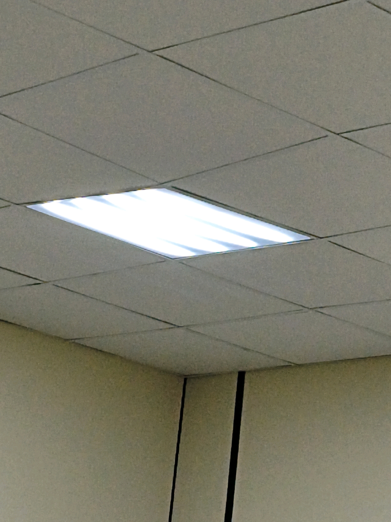 The image shows a close-up, upward-angled view of a suspended ceiling with a recessed fluorescent light fixture. The ceiling is composed of square, textured tiles, and the light fixture is rectangular and brightly illuminated, casting a white glow. The walls below the ceiling are a neutral, light beige color, with two vertical black lines visible on the right side of the frame, suggesting a seam or a panel. The scene is indoors, likely in an office or institutional setting. There are no people or specific landmarks visible to indicate a location in Sosnoviy Bor, Russia.