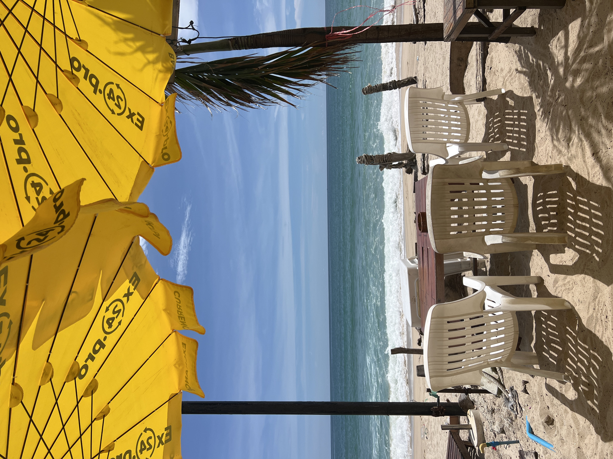 Under a large, bright yellow umbrella with black lettering, an outdoor seating area on a sandy beach overlooks a calm blue ocean with white waves. The umbrella, supported by a dark pole, casts patterned shadows on the sand, creating a dappled effect.
In the foreground, a table made of dark wood is surrounded by several white plastic chairs. One chair is prominently featured in the center, its back facing the viewer. Another white chair is to its left, and two more are partially visible to the right. The table has a reddish-brown top and dark legs. A wooden table and bench are positioned to the far right of the frame.
Behind the seating area, the sandy beach stretches towards the water. Several weathered wooden posts are scattered across the sand, some with ropes tied around them, suggesting a rustic or possibly abandoned structure. A palm tree with its fronds hanging down is visible on the right side of the image, near the edge of the umbrella. A blue plastic pipe or tube lies on the sand in the lower left corner.
The ocean is a vibrant turquoise color, with gentle waves breaking on the shore. The sky is clear blue with a few scattered white clouds. The overall scene depicts a tranquil beachside setting, possibly a relaxed eatery or cafe.