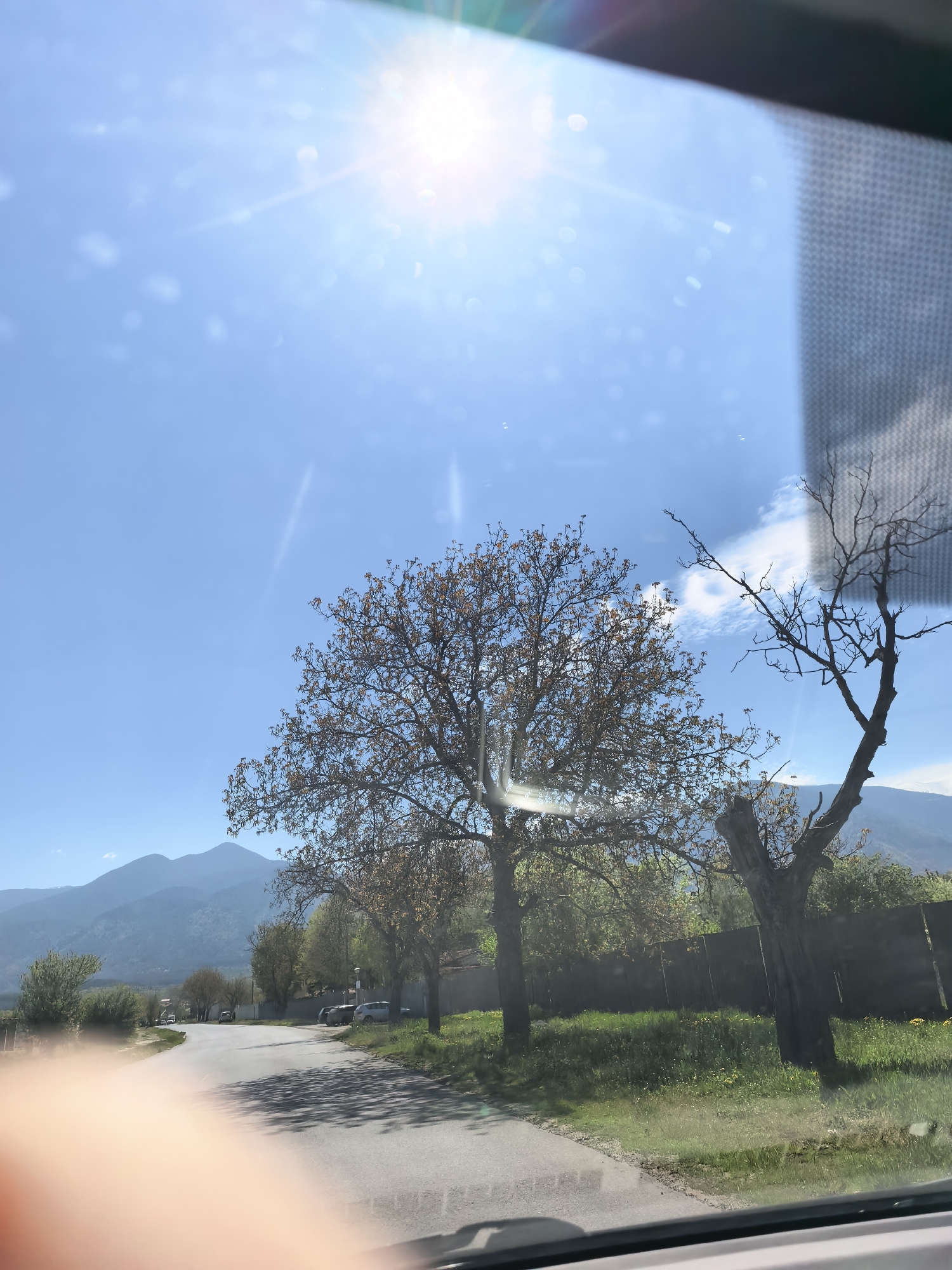 A bright, sunny outdoor scene depicts a rural or semi-rural road winding into the distance, flanked by trees and grassy areas, with majestic mountains in the background. The photograph appears to be taken through a car window, evident from prominent sun glare and reflections in the upper left and a partial, patterned reflection in the upper right. A blurred, orange-pink shape in the bottom-left corner is likely a finger or part of a hand, or a reflection thereof.
The sky is a clear, brilliant blue with an intense sun positioned in the upper left, casting strong sunbeams and lens flare. Small, white clouds are visible, particularly above the distant mountains.
In the foreground, a paved road curves towards the left. On the right, there's a patch of green grass dotted with small yellow flowers, bordered by a dark, solid fence or wall. Two prominent trees stand near the fence; the one on the left has branches sparsely covered with light green or reddish-brown nascent leaves and flowers, suggesting springtime. The tree on the right is mostly bare and gnarled, with dark, angular branches. Further down the road, more trees line the sides, and several parked cars are visible.
In the mid-ground, a range of large, blue-hued mountains rises, their peaks partly obscured by haze. The scene conveys clear, pleasant weather in a picturesque, mountainous region, likely a village or countryside. No discernible text is visible.