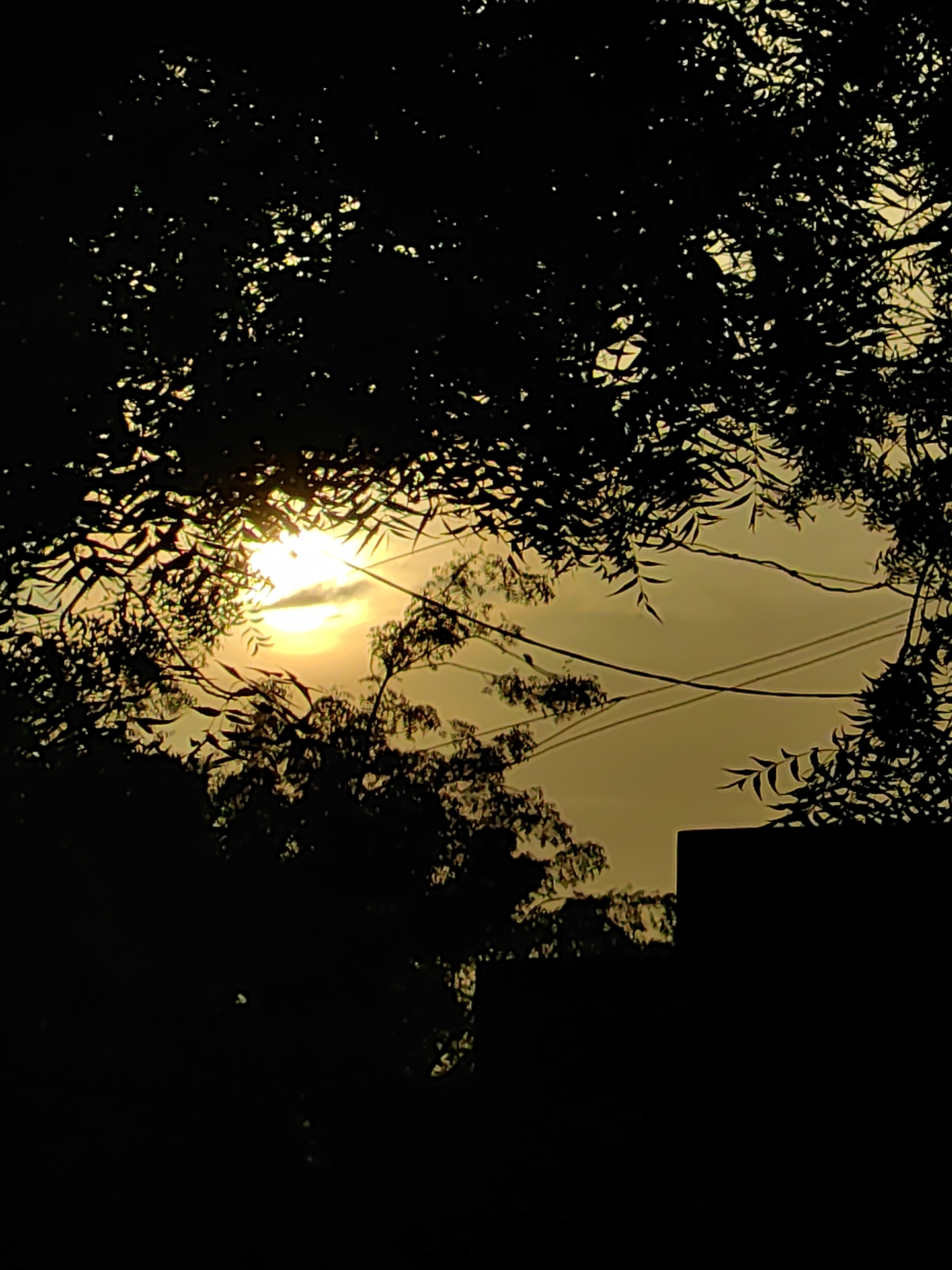 The image captures a silhouetted view of trees against a hazy, yellow-toned sky, suggesting either dawn or dusk. The sun is visible as a bright orb, partially obscured by clouds and leaves. Several dark, thin lines, likely power lines, stretch across the sky. In the lower right portion of the frame, a dark, angular structure, possibly part of a building, is visible in silhouette. The overall impression is one of a natural scene framed by man-made elements and softened by atmospheric conditions, likely taken from a viewpoint within Mhaiswadi, India. No people or specific actions are depicted.