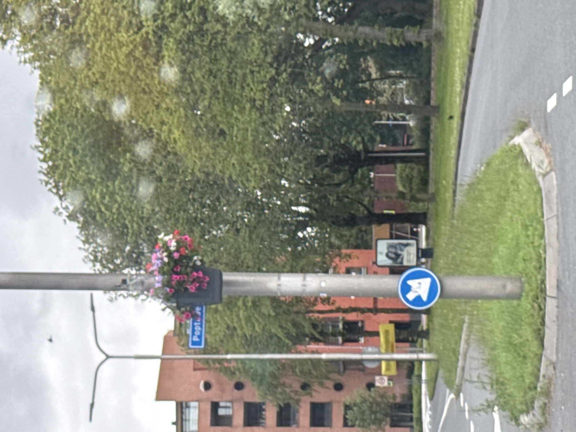 The image shows a street scene in Leeuwarden, Netherlands. A lamppost in the foreground is adorned with a hanging basket of pink and white flowers. A blue circular sign with a white symbol of a person walking is attached to the lamppost. Behind the lamppost, a multi-story brick building with numerous windows is visible. Trees line the street, and a road with white markings curves through the scene. A street sign with blue lettering reading "Poptusje" is also visible on the lamppost. The sky is overcast.