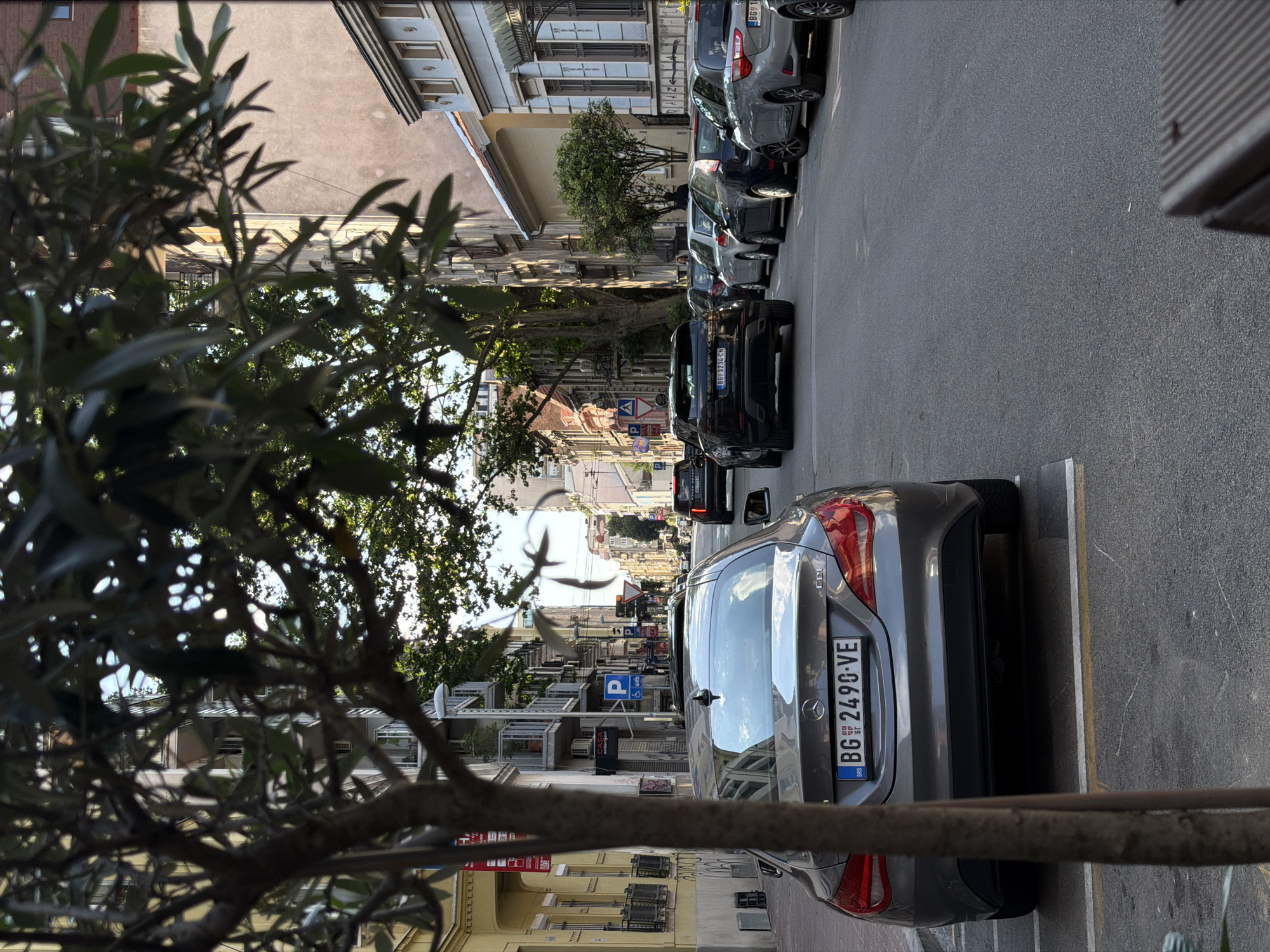 This media file captures a street scene in Belgrade, Serbia, characterized by parked cars lining a paved road. The perspective is from behind an olive tree with dense foliage, which partially obscures the view. The street is flanked by buildings, some appearing older with ornate architectural details, while others are more modern. Sunlight filters through the leaves, suggesting it's daytime, and the sky is visible in the distance, hinting at clear weather.
Several cars are visible, including a prominent gray Mercedes-Benz in the foreground with the license plate "BG 2490-VE". Other vehicles, in various shades of gray, black, and white, are parked along the street, forming a typical urban parking arrangement. Traffic signs, including a blue "P" for parking and a handicapped accessible symbol, are also present. The overall atmosphere is that of a quiet, everyday moment in a residential or commercial urban area. No specific activity or event is clearly depicted; the focus is on the static elements of the scene. The visible text includes the license plate, location indicators on the signs, and some signage on the buildings which is too small to be clearly legible.