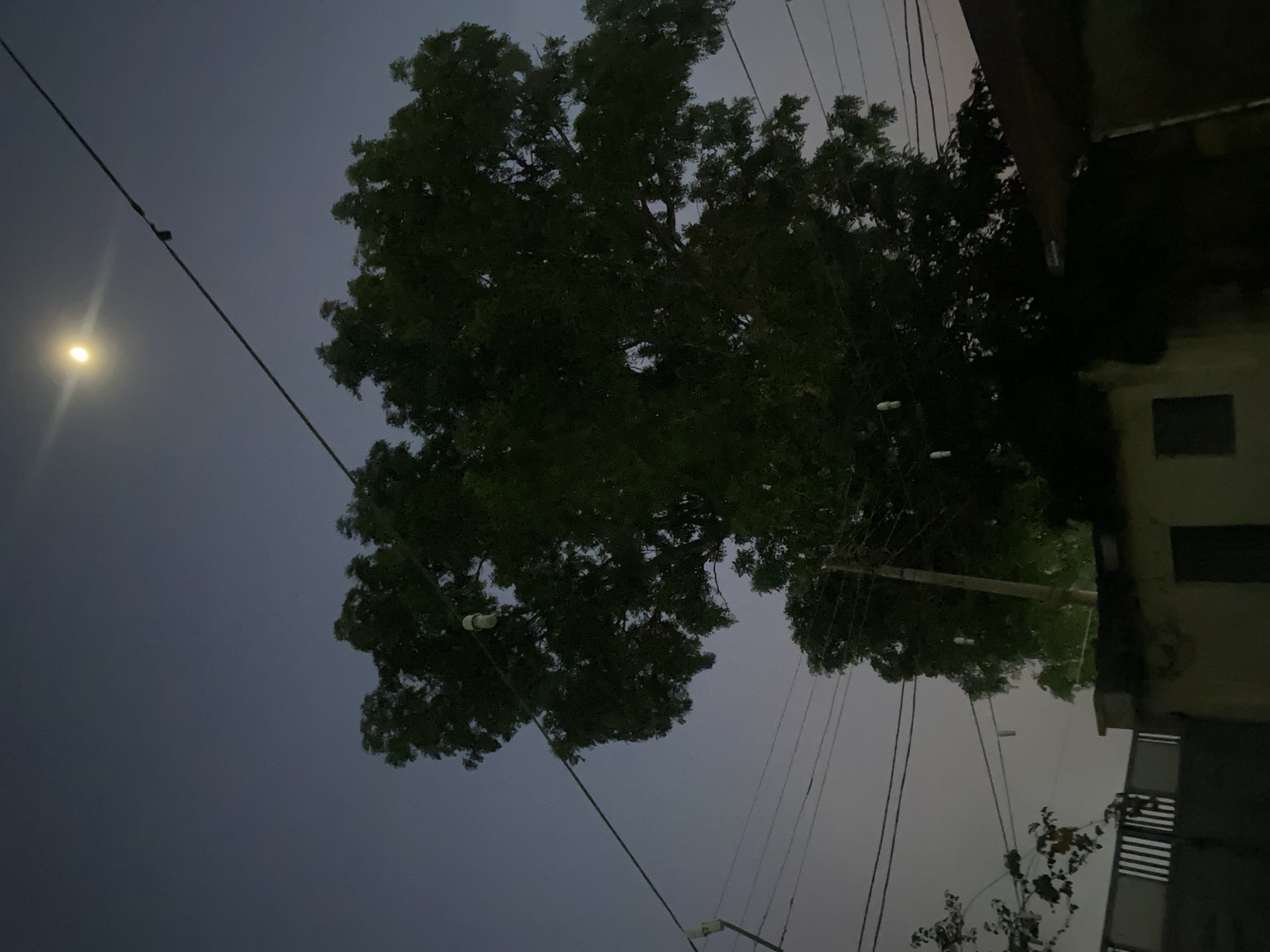 The image captures a dimly lit outdoor scene at dusk or night in Giginyu, Nigeria. A large tree with dark green foliage dominates the center of the frame, its branches reaching towards a hazy, deep blue sky. A crescent moon is visible in the upper portion of the sky, emitting a soft glow. Several utility wires crisscross the sky, some supporting what appear to be light bulbs, suggesting an outdoor lighting setup. In the foreground, the top of a dark-colored roof is visible on the right, and on the left, a section of a fence or gate with vertical slats is present. Below the fence, a low-lying structure with a dark opening, possibly a window or doorway, is partially visible. The overall impression is of a residential or semi-urban area at twilight, with natural elements like the tree and moon juxtaposed with man-made infrastructure. There are no people or animals clearly depicted in the image.