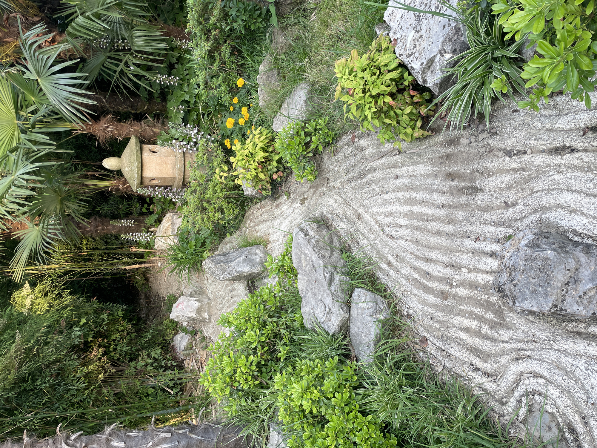 This is a photograph of a Zen garden path in Sochi, Russia. The path is made of light-colored gravel with a rippled texture, bordered by lush green foliage and large grey rocks. A stone lantern, weathered and covered in moss, stands to the right of the path, surrounded by small white flowers and palm trees. The overall impression is one of tranquility and natural beauty.