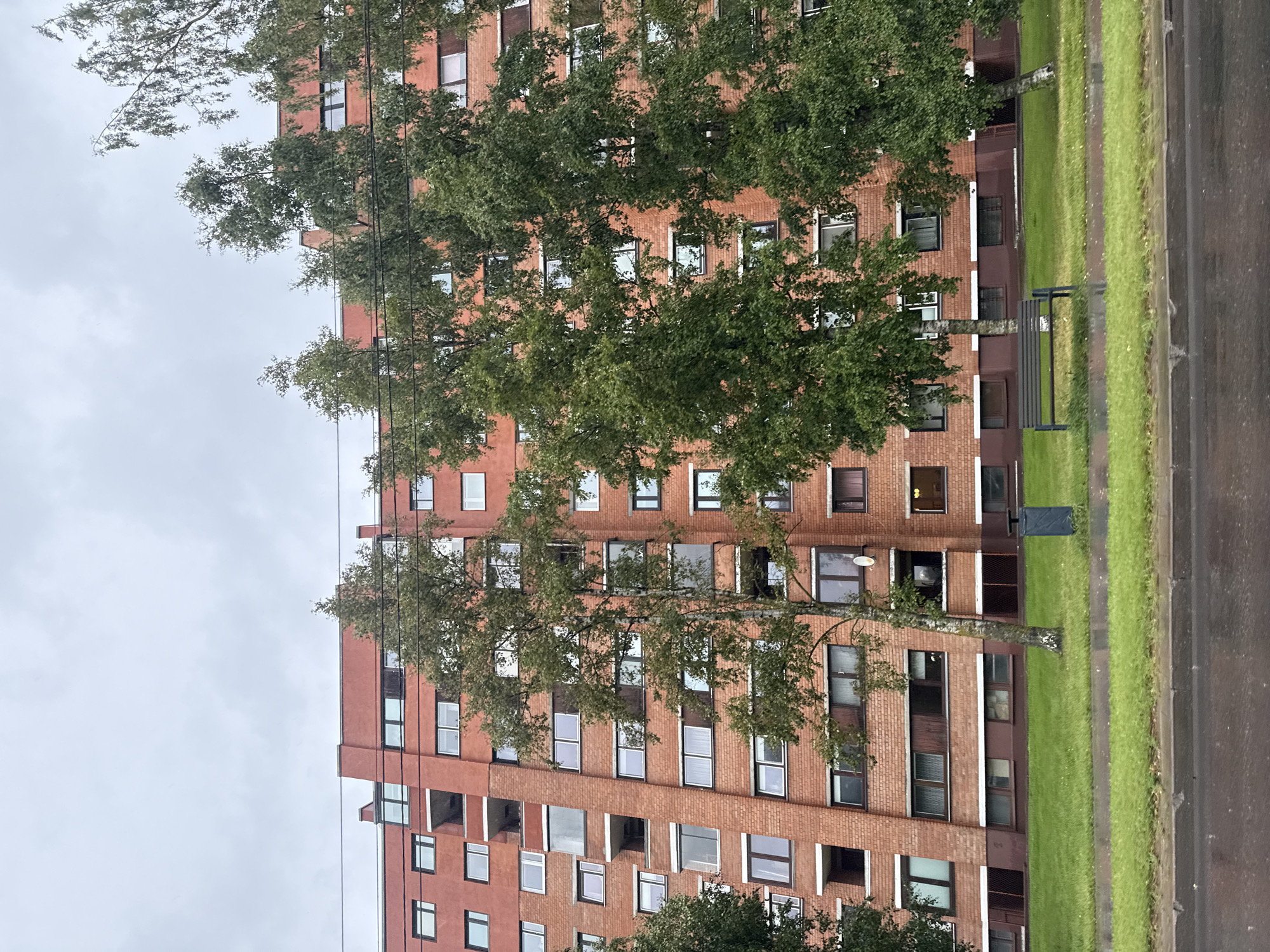 The image captures a multi-story brick apartment building with a red-orange facade, featuring numerous windows and balconies. Several deciduous trees with lush green foliage stand in front of and alongside the building. In the foreground, a paved road is visible, with a grassy area and a park bench situated between the road and the building. The sky is overcast and grey. The scene appears to be from a residential area in Tallinn, Estonia, likely on a cloudy day. No people or animals are present in the frame.