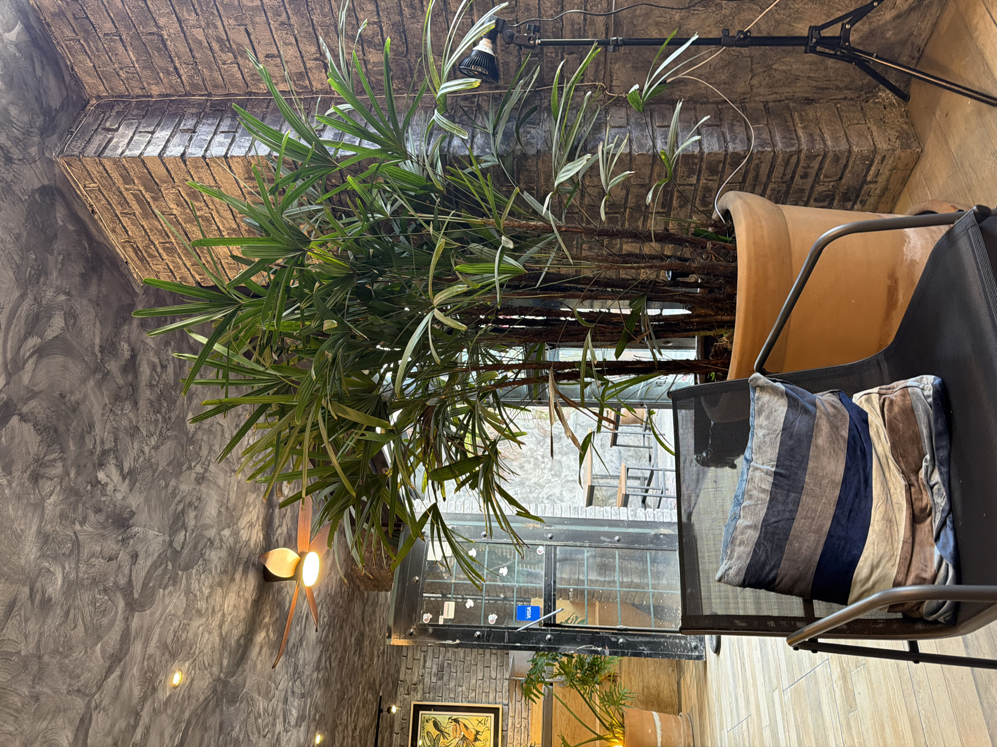 The image, taken in San Andrés Cholula, Mexico, presents an interior scene characterized by a blend of natural elements and industrial-chic design. The perspective looks slightly upwards into a room furnished with a large plant and seating.
A prominent feature is a tall, vibrant green palm-like plant with slender stems and long, delicate leaves, occupying a large, light brown or terracotta-colored pot. This plant is positioned to the right of the frame, reaching towards a dark, textured ceiling or upper wall section constructed from brick-like material.
To the left, a rough, mottled grey wall with swirling plaster patterns contrasts with the brickwork. A distinctive wall-mounted light fixture, shaped like a flower with two glowing bulbs, casts a warm light on this wall. Other smaller, recessed lights are also visible further down. Overhead, a black track light with a spotlight is mounted.
To the right, a black metal-framed chair with a mesh seat and back holds a striped cushion. The cushion features broad diagonal stripes in shades of blue, grey, brown, and beige.
In the background, a large window or glass door with dark frames reveals another area beyond, possibly an outdoor space or an adjacent room, where some blurry details of other plants and structures can be discerned. A "VISA" logo sticker is clearly visible on the glass. Below the window, another section of brick wall is present, and a framed picture, depicting some form of artwork, is partially visible at the bottom left. The floor appears to be covered with light-colored, rectangular tiles. The scene conveys a calm and stylish atmosphere, likely a cafe or a modern communal space, illuminated by both natural light from the window and artificial lighting. There are no people visible in the image.