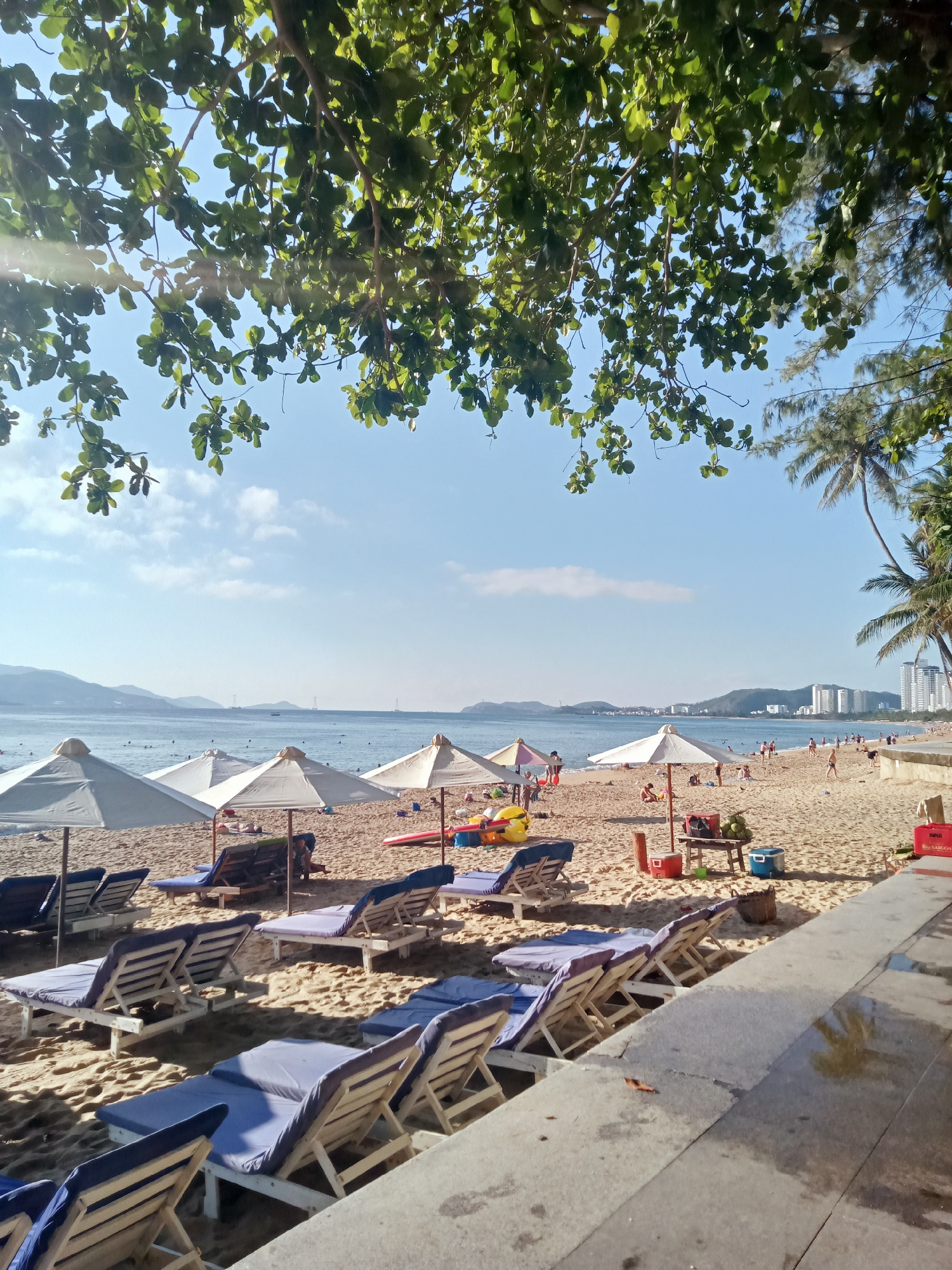 The image captures a beach scene in Nha Trang Ward, Vietnam. The foreground features a row of blue and white sun loungers arranged on the sand, partially shaded by leafy green trees overhead. Beyond the loungers, white umbrellas dot the beach where people are visible swimming, sunbathing, and engaging in beach activities. The background includes the sea, distant hills, and the skyline of Nha Trang, with buildings visible along the coast. A concrete walkway separates the sand from the foreground.