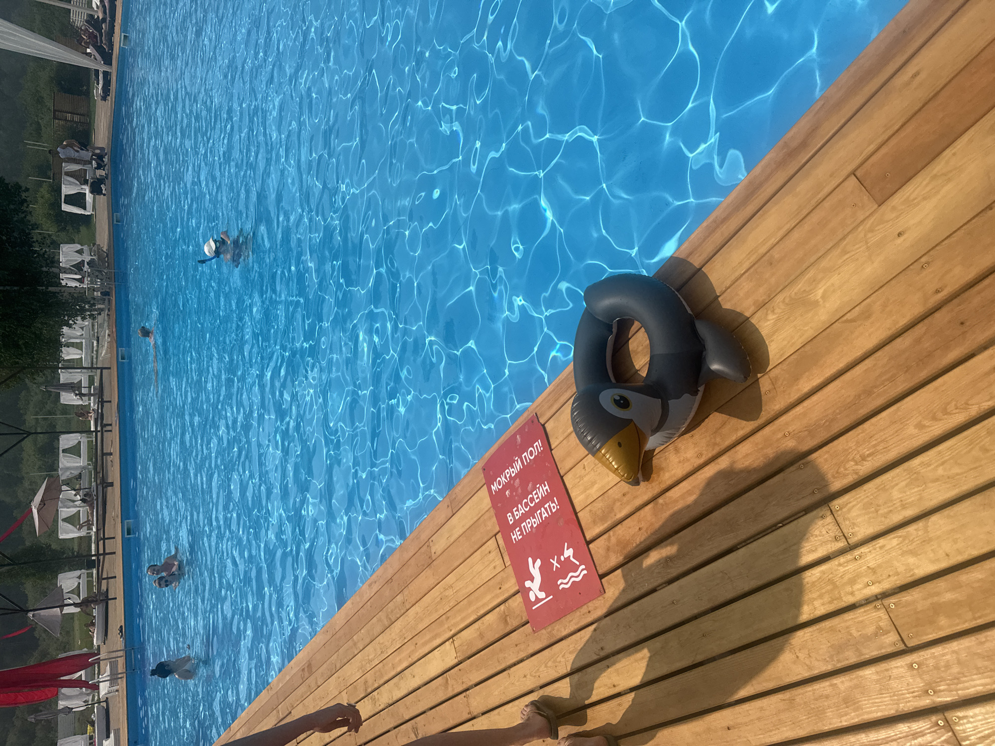The image captures a sunny day at a swimming pool, likely an outdoor recreational area in Дрокино, Russia. The pool is filled with clear blue water, reflecting the bright sunlight. Several people are visible in the pool, enjoying themselves. On the wooden deck bordering the pool, a red sign with white text and pictograms is placed. The text, in Russian, reads "МОКРЫЙ ПОЛ! В БАССЕЙН НЕ ПРЫГАТЬ!" which translates to "WET FLOOR! DO NOT JUMP INTO THE POOL!". The pictograms depict a person running, a person slipping, and a person jumping into water with a cross over it, reinforcing the warning. Also on the deck is a partially inflated black ring float shaped like a penguin. The overall environment suggests a leisure facility designed for swimming and relaxation.