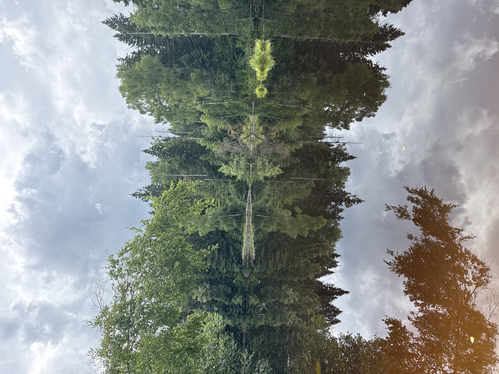 The image shows a reflective body of water bordered by a dense forest under a cloudy sky. The water's surface mirrors the trees and the sky, creating a symmetrical effect. The forest consists of various deciduous and coniferous trees, with lush green foliage. The sky is overcast with grey clouds, suggesting a calm, perhaps humid, atmosphere. There are no people or animals visible in the frame. The scene appears to be a natural landscape, likely a lake or pond within a wooded area. The location is specified as Подолино Ст, Russia.