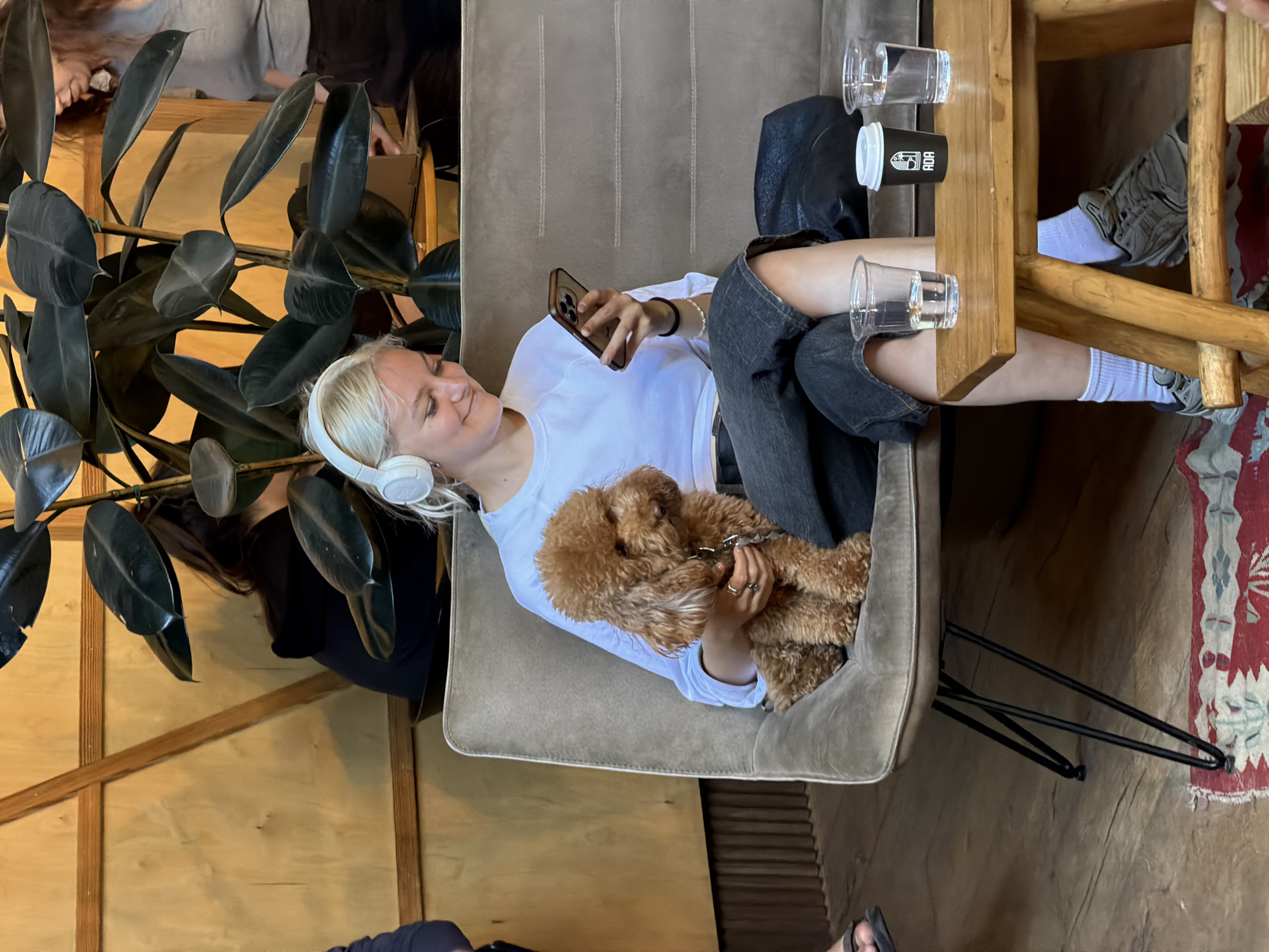 A woman with short blonde hair wearing white headphones and a white long-sleeved shirt sits in a tan chair, cradling a brown poodle and looking at her phone. The chair is positioned indoors near a wooden table with glasses and a coffee cup. The woman is wearing denim shorts and white socks with dark shoes. The setting includes a large leafy plant, wooden walls, and a rug with a patterned design. Although this is an interior setting, no conclusive information is available within the picture to place this photograph definitively within the city of Tel-Aviv, Israel.
