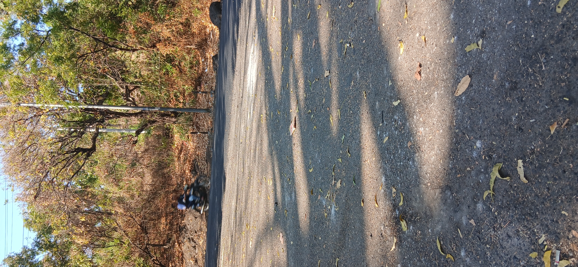 In Banyuglugur, Indonesia, a motorcycle rider on a dark-colored motorcycle, blurred by motion, travels along an asphalt road. The rider is wearing a blue shirt and dark pants. The road is bordered by a slope covered in dry brown leaves and sparse vegetation. Several trees with a mix of green and brown foliage are visible behind the slope. A gray utility pole stands near the right side of the road, and its shadow, along with the shadows of tree branches, falls across the asphalt. The ground of the road is textured with small stones and scattered dry leaves. The sky is clear and blue.