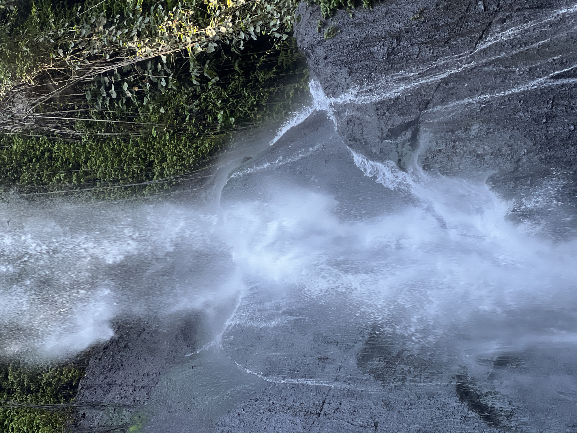 The image is a close-up, vertical shot of a waterfall cascading down a rocky, moss-covered cliff face. Lush green vegetation, including vines and small plants, grows densely on the cliff to the right of the water. The water itself is a torrent of white spray and streams, appearing to fall from above and obscure much of the rock. The rock is dark gray and appears wet, with streaks of water running down its surface. The overall impression is one of a natural, untamed environment. The location is identified as the Sekumpul Waterfall in Busungbiu, Indonesia. There are no people or animals visible in the image.