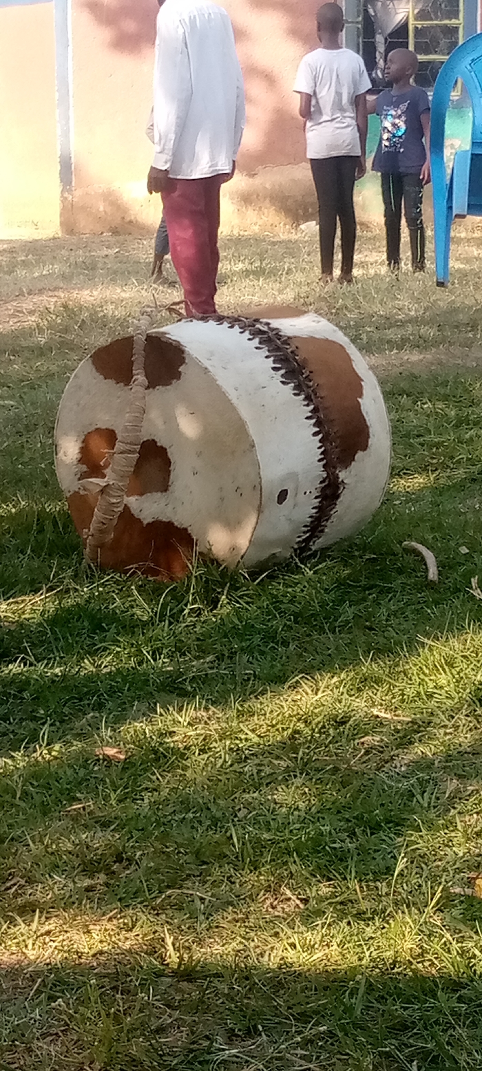 The image displays an outdoor scene in Burundu, Kenya, centered around a large, traditional drum.
**Subjects:** The main subject is a prominent, barrel-shaped drum resting on green grass in the foreground. In the background, several individuals are visible, appearing somewhat out of focus. These include an adult male seen from behind, wearing a white long-sleeved shirt and reddish-brown pants. To his right, a younger person stands in a grey t-shirt and black leggings, alongside a child dressed in a dark t-shirt with a bright design and dark patterned leggings.
**Objects:** The drum is crafted from animal hide, featuring distinct patches of white and brown, characteristic of cowhide. It exhibits detailed lacing along its cylindrical body and on one of its circular ends, which serves as a decorative or structural element. A portion of a blue plastic chair is visible on the far right of the frame.
**Scene/Setting:** The setting is a grassy area under clear, bright daylight, indicated by strong shadows on the ground. In the background, there's a building with an earth-toned, possibly orange-brown, wall.
**Activity or event taking place:** There is no specific activity overtly depicted. The individuals in the background appear to be standing or observing, not directly interacting with the drum or each other in a specific event. The drum lies on its side, suggesting it might be stored or awaiting use for a cultural or musical occasion.
**Notable details:** The time of day is clearly daytime, given the strong sunlight and shadows. The weather appears clear and sunny. The craftsmanship of the drum, made from animal hide with lacing, suggests a traditional cultural artifact. The location context is Burundu, Kenya. Emotions of the distant figures are not discernible.
**Visible text:** No visible text is present in the image.