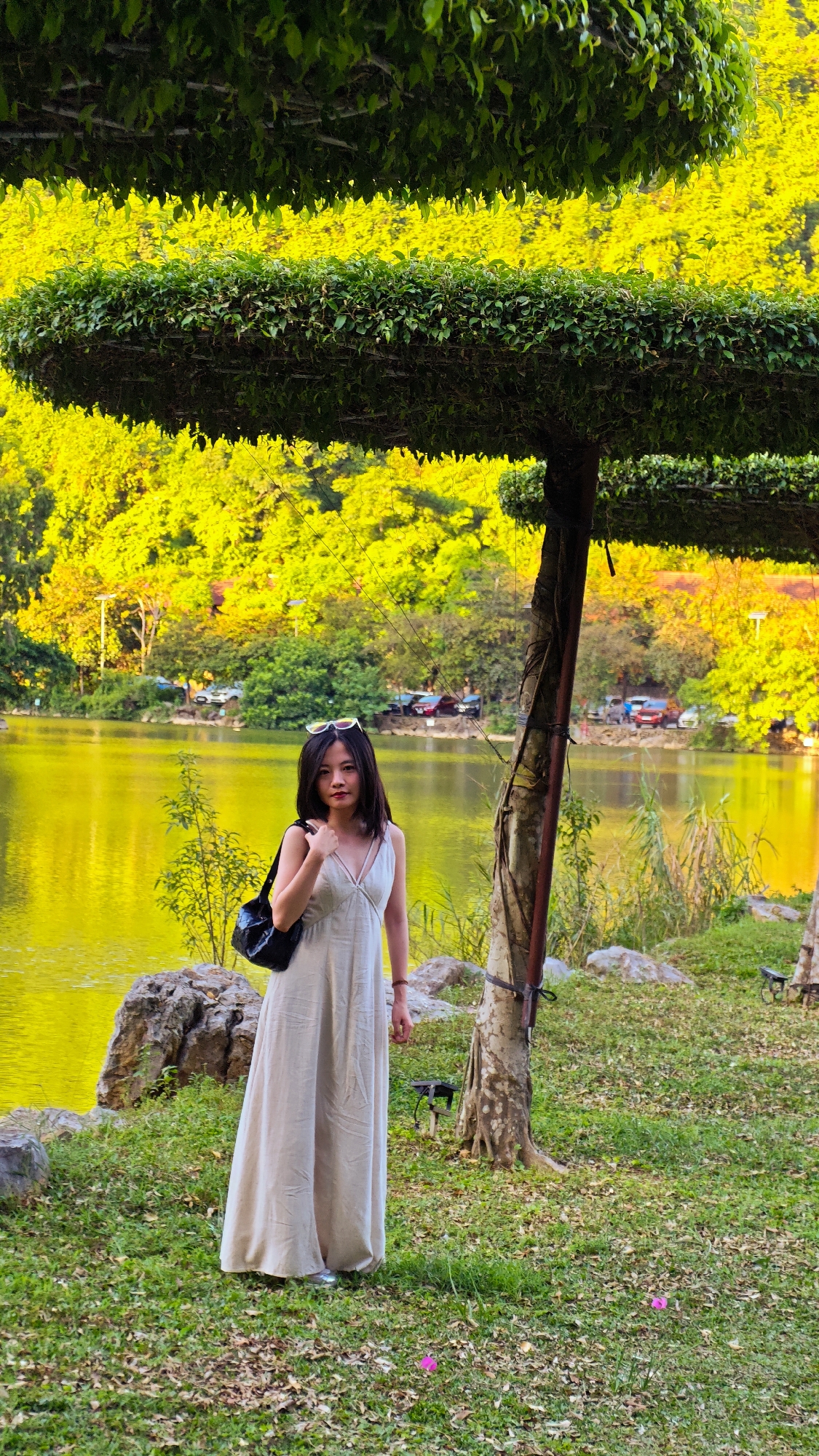 A young woman stands in a park in Yên Sơn Ward, Vietnam, in front of a vibrant yellow-green lake. She is wearing a light-colored, sleeveless dress that reaches her ankles and a black shoulder bag. Her hair is dark and she has sunglasses perched on top of her head. The park features uniquely shaped, layered topiaries of green foliage. Behind the lake, a dense forest with trees displaying yellow and green foliage is visible. Several cars are parked along a road in the distance. The ground is covered in grass and scattered dry leaves, with a few pink petals on the ground near the woman. Rocks are present along the edge of the lake. The lighting suggests it is late afternoon or early evening.