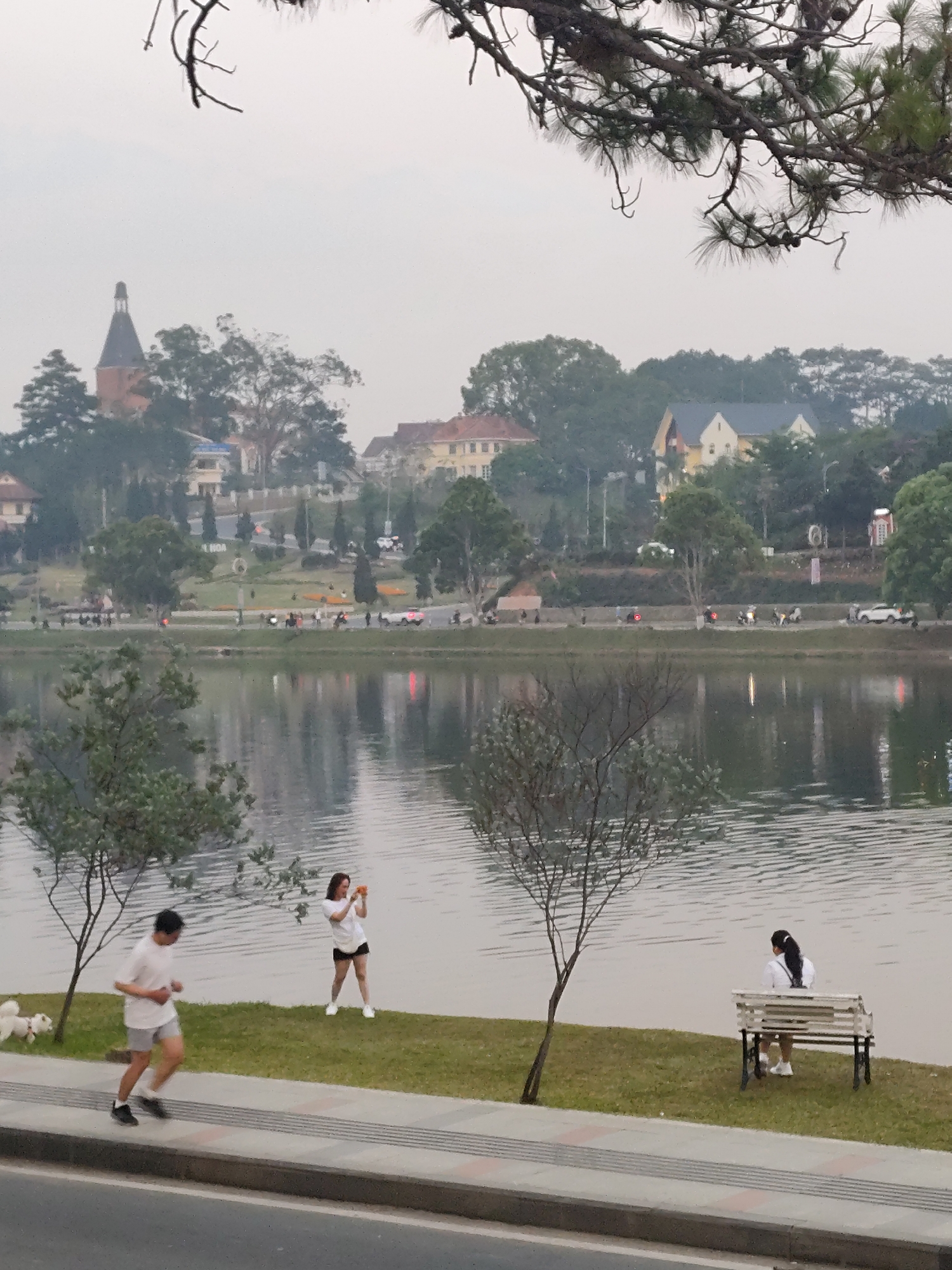 The image depicts a daytime scene in Thành phố Đà Lạt, Vietnam, featuring Xuân Hương Lake under an overcast sky. In the immediate foreground, a grey asphalt road is visible, bordered by a sidewalk composed of grey and reddish-brown striped pavers. Above this, a strip of green grass extends to the lake's edge.
On the near side of the lake:
- To the left, a male subject, wearing a white t-shirt, grey shorts, and dark athletic shoes, is jogging from left to right. A small, white, fluffy dog is visible on the grass to his left.
- In the center-right, a female subject, dressed in a white t-shirt, dark shorts, and white athletic shoes, stands facing the lake. She holds a small orange device, possibly a camera or phone, up with both hands, appearing to capture an image or video.
- To the far right, another female subject, wearing a white top and dark shorts with white athletic shoes, is seated on a white-painted wooden park bench, facing away from the camera and towards the lake.
- A slender, bare-branched tree stands on the grass between the jogging male and the seated female.
The lake surface is calm with slight ripples, reflecting the light grey sky and distant elements. On the far side of the lake, a paved road is visible with several vehicles, including motorcycles and cars, and indistinct pedestrians. Beyond this road, a landscaped area with grass and numerous trees extends, featuring distant buildings. A sign partially visible reads "ĐÀ LẠT HOA." In the background, rolling hills are covered with dense trees and various structures, including a prominent building with a dark, conical spire, characteristic of Dalat architecture, likely part of the Dalat Pedagogical College. Pine tree branches with needles and cones frame the top of the image.