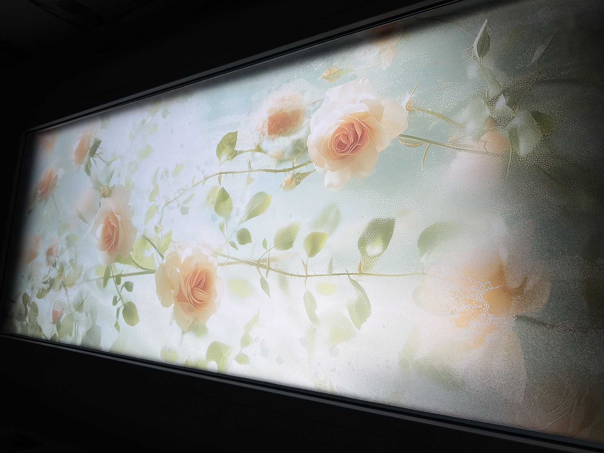 The image displays a close-up view of a vertical, illuminated panel featuring a painted or printed design of pale pink and peach roses on a light blue-green background. The roses are depicted with detailed petals and green stems and leaves, some with thorns. The artwork has a slightly textured or frosted appearance, with small, scattered dots of light and shadow across the surface, creating a soft, diffused effect. The panel is framed by a dark, matte border, and it appears to be mounted vertically. The surrounding environment is dark, suggesting the panel is a focal point or illuminated element within a dimly lit space. There are no people or animals visible in the image. This artwork is located in Steklyannyi, Russia.