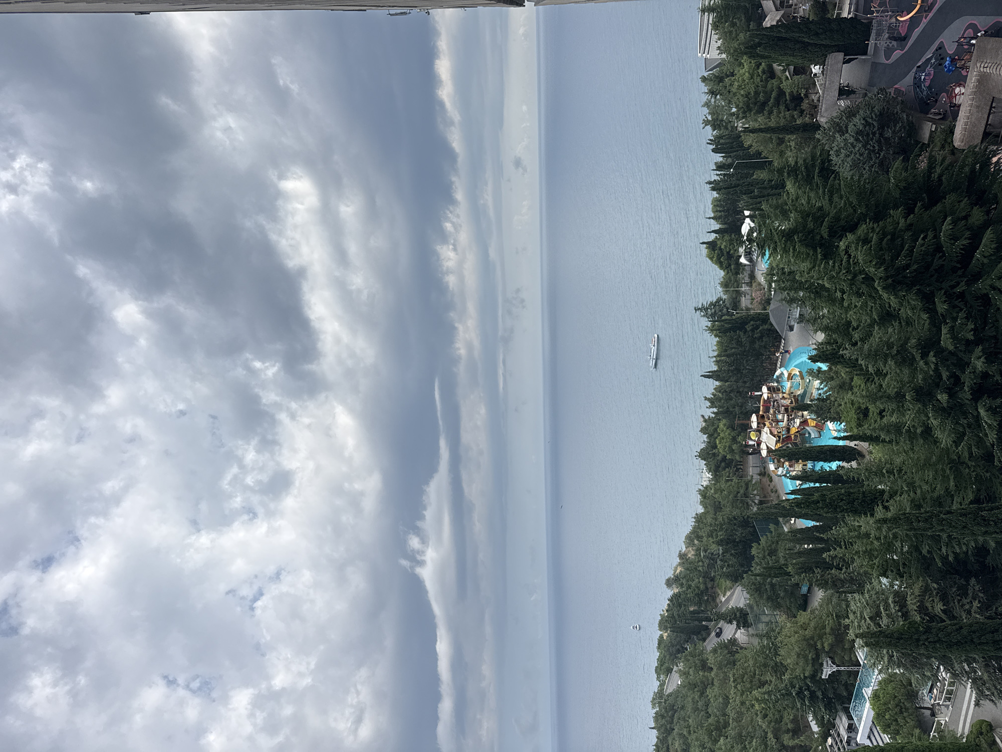 An elevated, vertical, full shot captures a wide expanse of the Black Sea under a cloudy sky, viewed from a high vantage point in the city of Yalta, Ukraine. The sea is a dominant feature, a vast, calm blue expanse stretching to the horizon, dotted with a few small boats. Along the coastline, lush green trees densely cover rolling hills, with a winding road visible among them. In the mid-ground, a water park with bright blue pools and colorful slides stands out amidst the greenery, alongside other resort facilities and buildings. The foreground is filled with the tops of numerous evergreen trees, creating a layered effect. The overall mood is tranquil, albeit slightly muted due to the overcast sky.