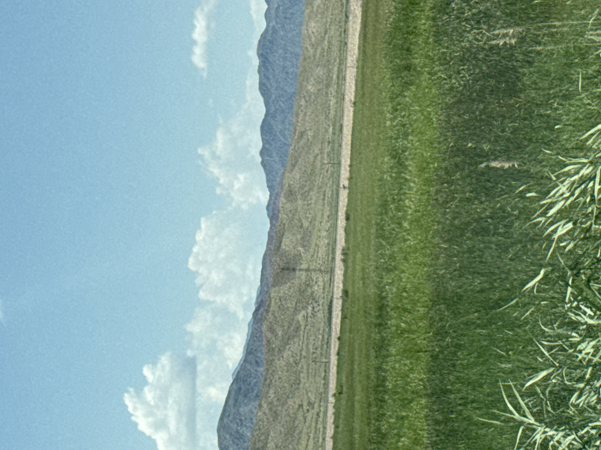 A wide shot captures a landscape beneath a pale blue sky with scattered white clouds. In the foreground, a dense, green field of grass extends across the image. In the middle ground, a light-colored, flat strip runs horizontally, possibly a road or levee, with sparse vegetation. Behind this strip, rolling, tan-colored hills rise, textured with small shrubs or rocks. Further in the background, a range of muted blue mountains forms the horizon. Two faint vertical structures, resembling utility poles, are visible against the hills. The scene appears to be an outdoor natural environment, likely in or near the city of Balykchy, Kyrgyzstan, given the mountainous terrain and open landscape.