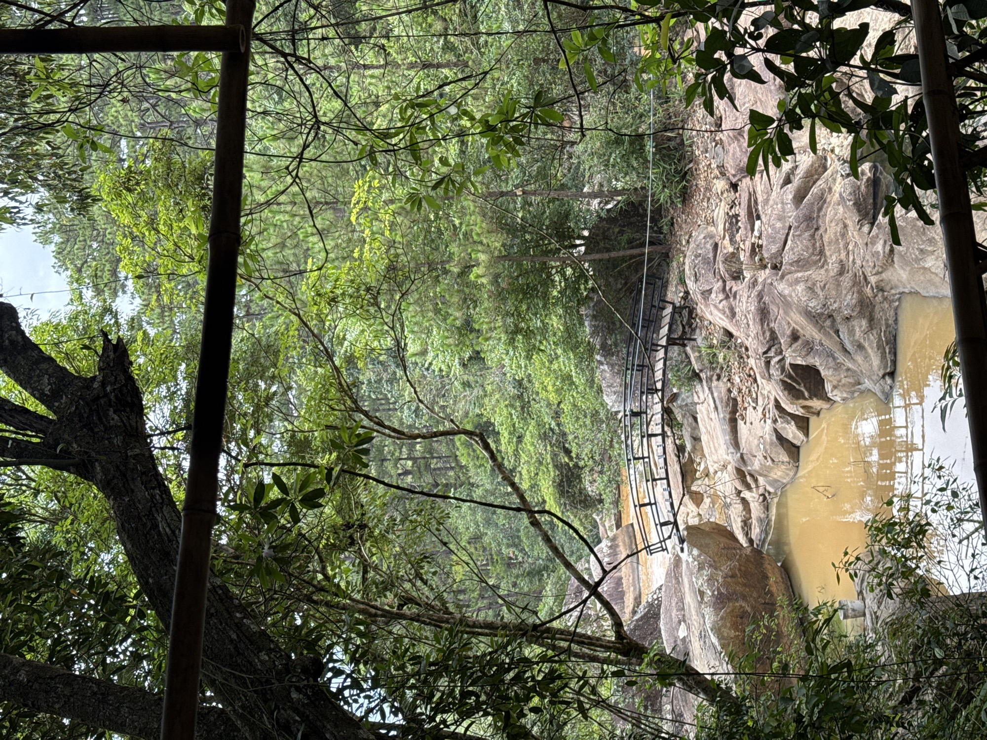 View from a bamboo structure, overlooking a rock cliff with a metal staircase along its side. Below the cliff is a pool of brownish water. Trees and branches partially obstruct the view. Located in Lang Biang - Da Lat, Vietnam.