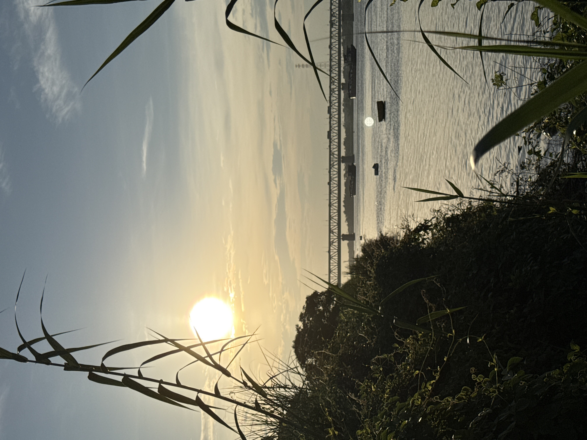 The image depicts a sunset scene over a body of water, likely a river, framed by foliage in the foreground. A bridge with a steel structure is visible in the distance, spanning the water. Several small boats are positioned on the water’s surface. The sun is low in the sky, emitting a bright glow that reflects off the water. The sky is lightly cloudy. Based on the bridge structure and general environment, the location is likely near a riverbank in Hà Nội, Vietnam.