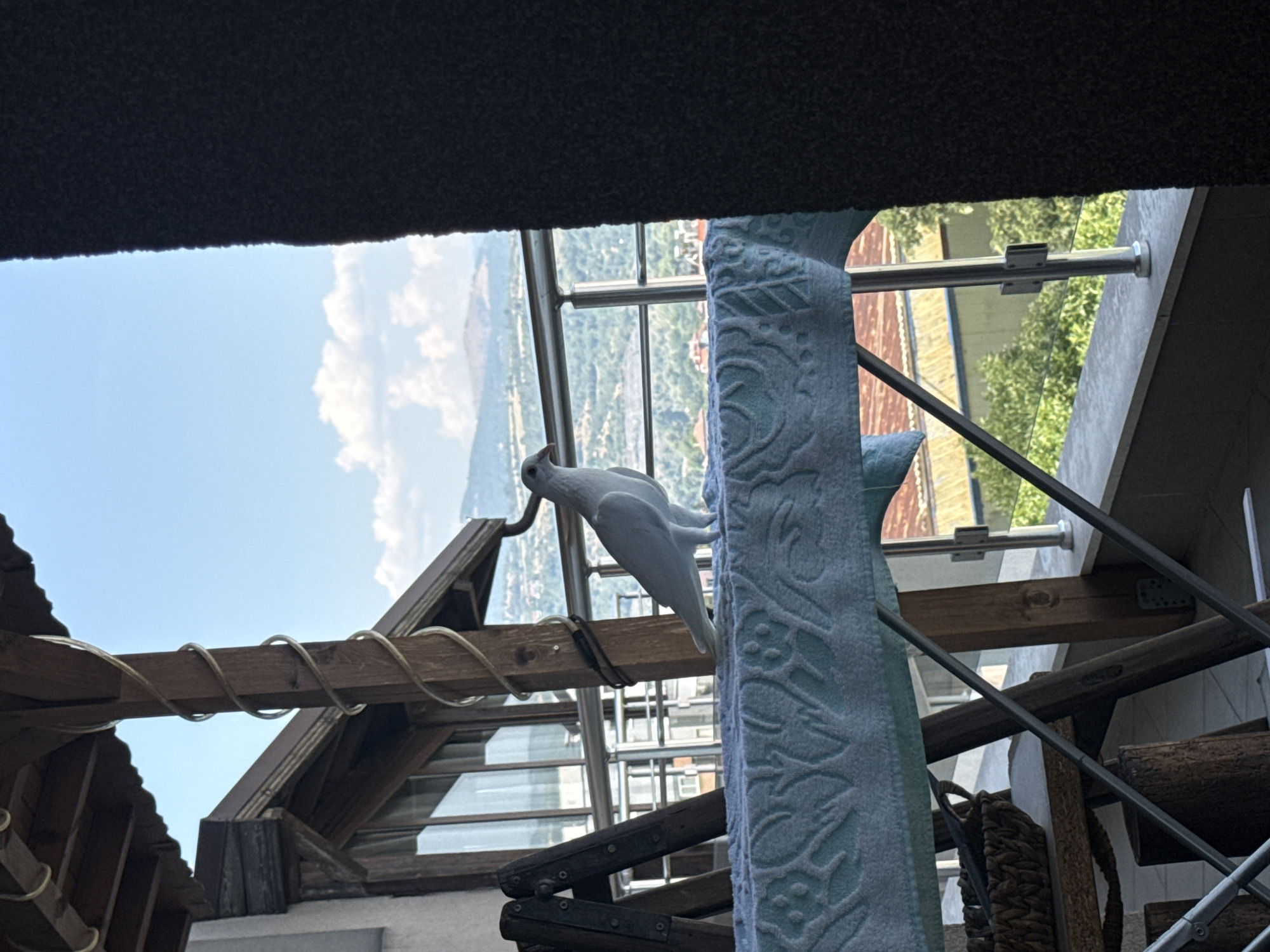 A white dove stands on a light blue towel covering an ironing board on a balcony overlooking a city. The balcony has wooden beams and a metal railing. In the background, mountains are visible under a cloudy blue sky. The scene is likely in Blagoevgrad, Bulgaria, given the architectural style and natural landscape.