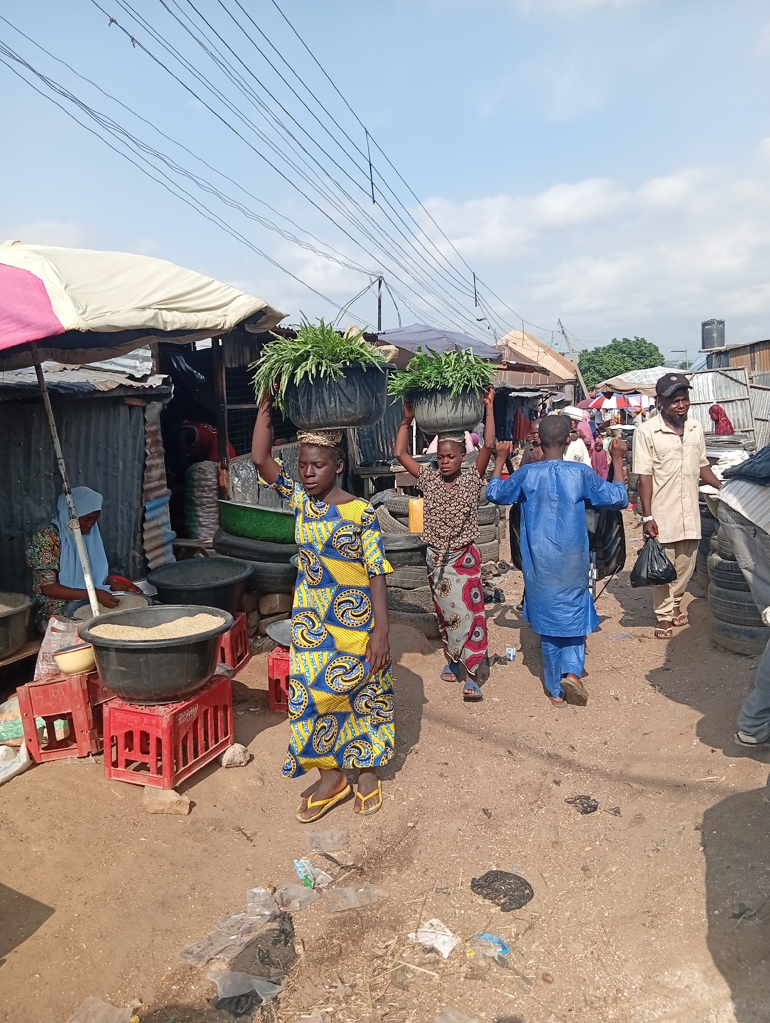 In Jalingo, Nigeria, a bustling outdoor market scene unfolds under a partly cloudy sky. The ground is a mix of dirt and sand, with scattered debris, including plastic bags and other refuse. Stalls, constructed from corrugated metal and canvas awnings, line a narrow pathway. A woman in a light blue headscarf and patterned dress is seated behind a large basin of what appears to be grain. In front of her, two red plastic crates support a large black basin, also filled with grain. To the right, a young girl in a vibrant yellow and blue patterned dress, with yellow flip-flops, balances a large black pot filled with lush green plants on her head. Another woman, wearing a patterned skirt and blouse, also carries a similar pot of plants. A boy in a blue traditional outfit walks ahead, his arms outstretched, while a man in a tan shirt and cap, holding a black plastic bag, walks behind them. Other figures and stalls are visible in the background, suggesting a lively and active marketplace.