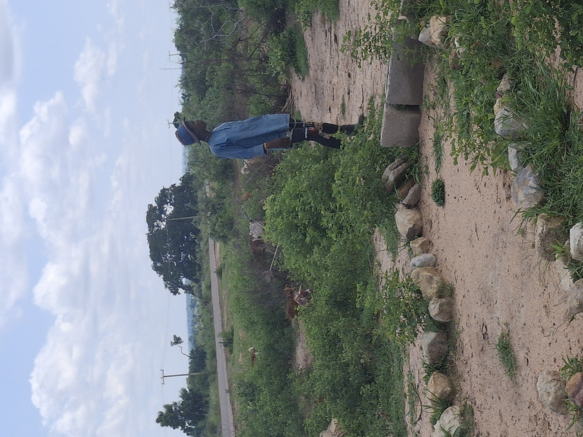 A full-shot, medium-distance, eye-level, outdoor, daytime, natural-light photograph depicts a young Black male standing in a clearing adjacent to a dirt path, facing right and looking away from the camera. He is wearing a blue, long-sleeved, button-down shirt, dark pants with a patterned design on the legs, and a blue hat. The clearing is surrounded by lush green foliage and scattered rocks. In the middle ground, several goats are grazing among the dense vegetation. A paved road with a single set of tire tracks runs horizontally across the background, with utility poles visible along its edge. The sky is overcast with scattered clouds, and a large tree stands prominently in the far distance. The scene appears to be in a rural or semi-rural area, possibly on the outskirts of Daura, Nigeria, given the presence of livestock and the natural landscape.